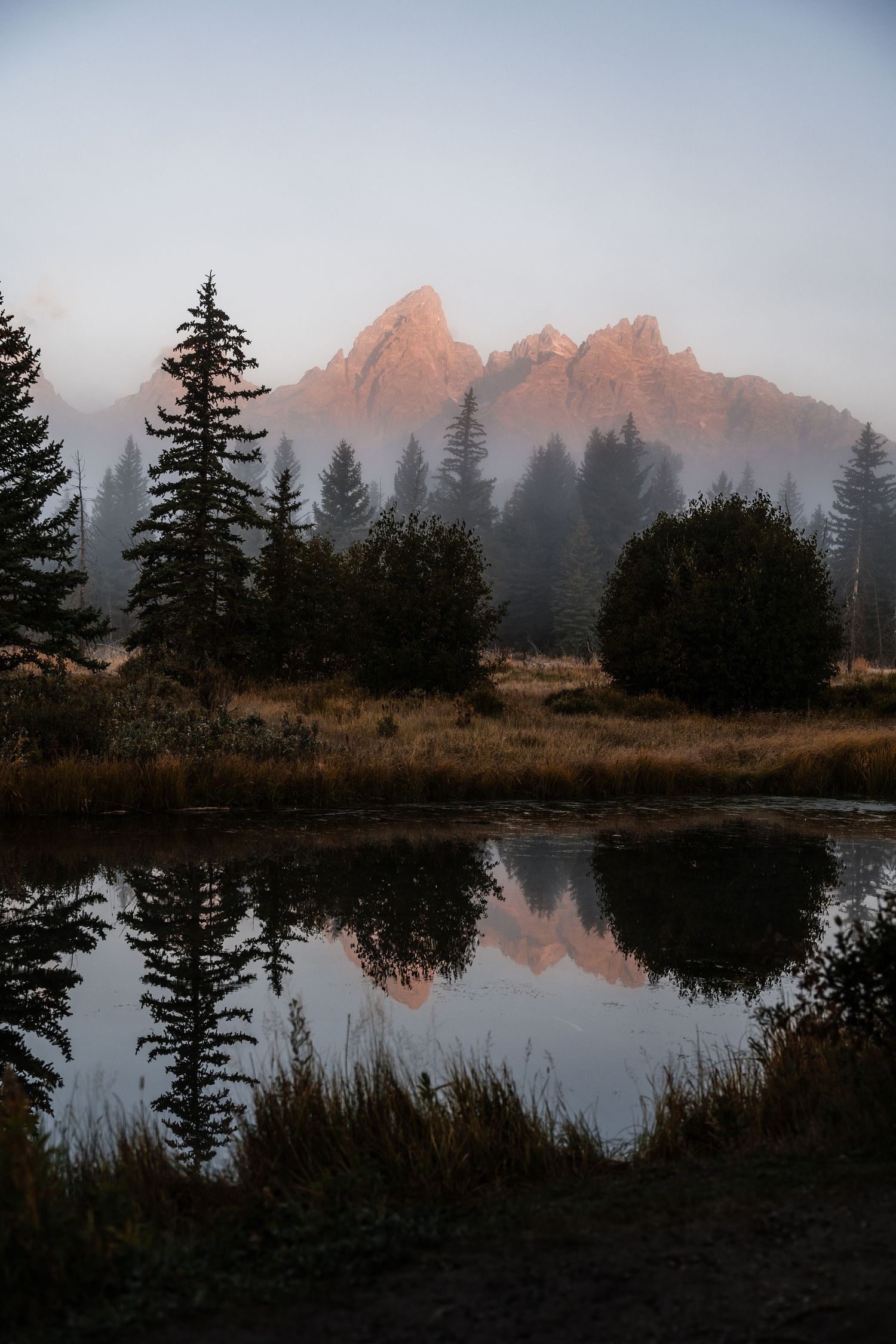 Tranquil mountain lake at sunset reflects evergreen trees and pink-tinted peaks in a misty wilderness landscape.