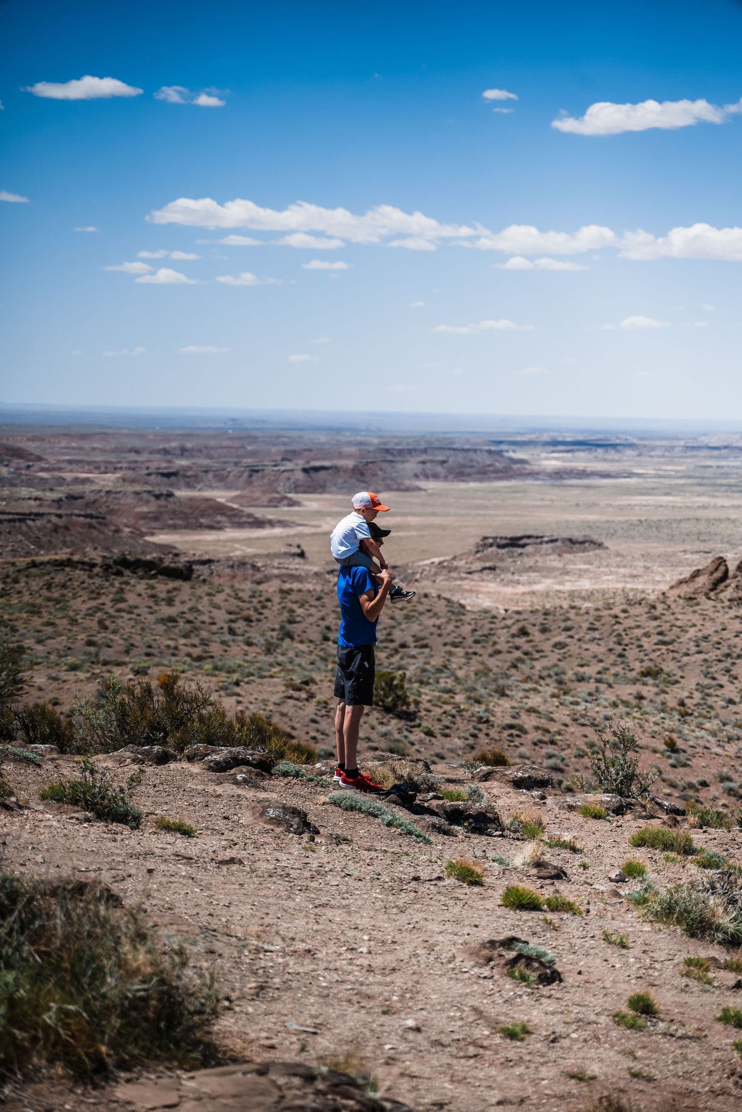 A figure stands atop a cliff overlooking a vast desert landscape under blue skies with scattered clouds.