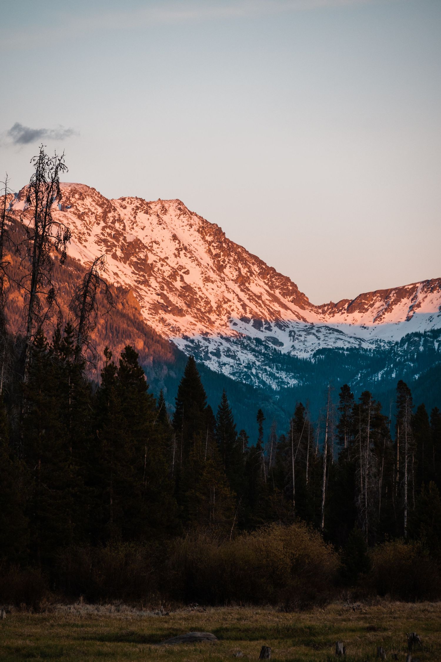 Snow-capped mountain peak glowing orange at sunset with silhouetted pine forest in the foreground.