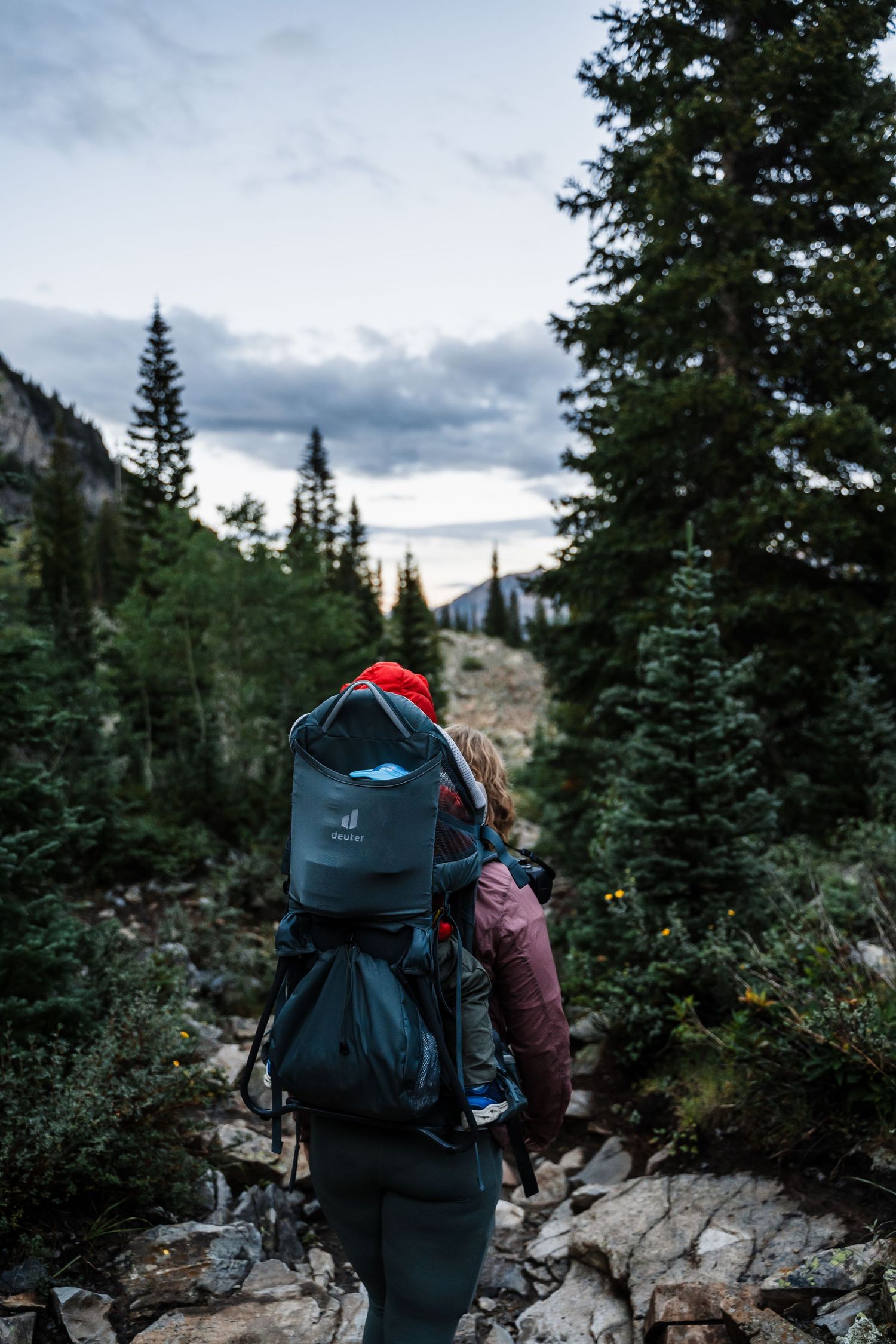 Hiker with backpack traverses rocky mountain trail through dense evergreen forest during moody evening.