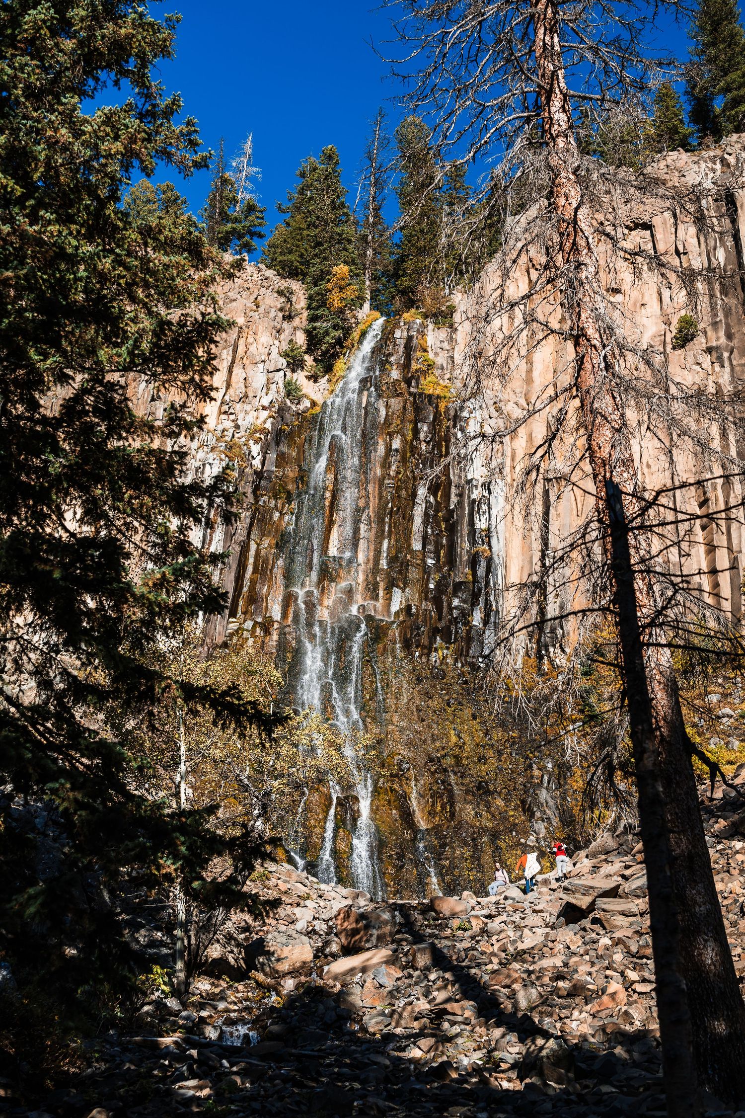 Scenic waterfall cascading down rocky cliffs surrounded by tall pine trees in a mountainous forest landscape.
