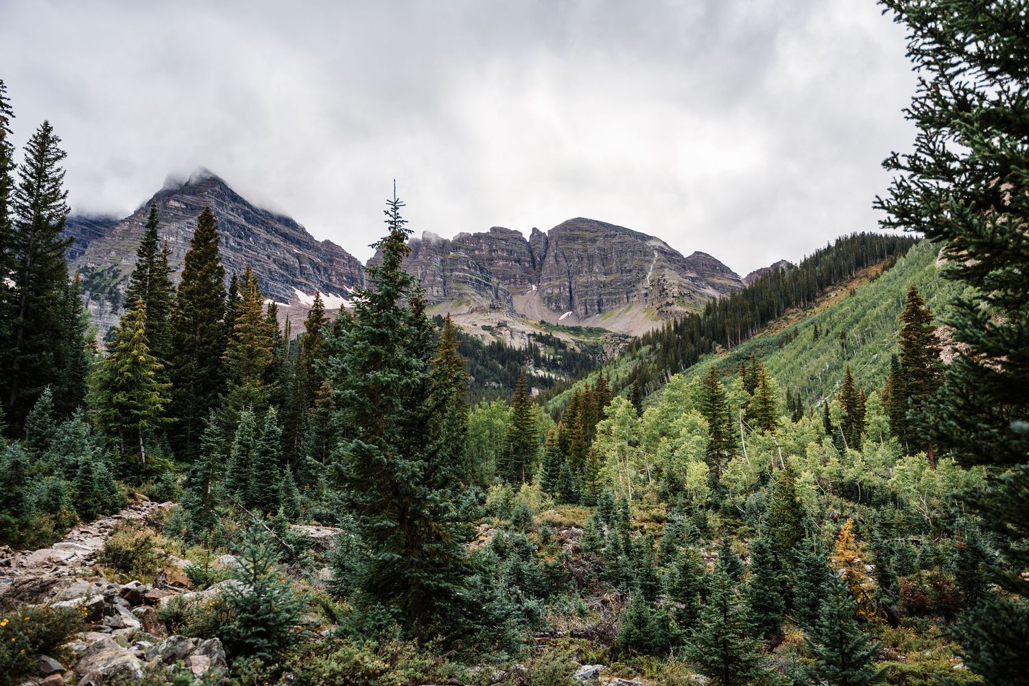 Dramatic mountain landscape with evergreen forest and rocky peaks under cloudy skies.