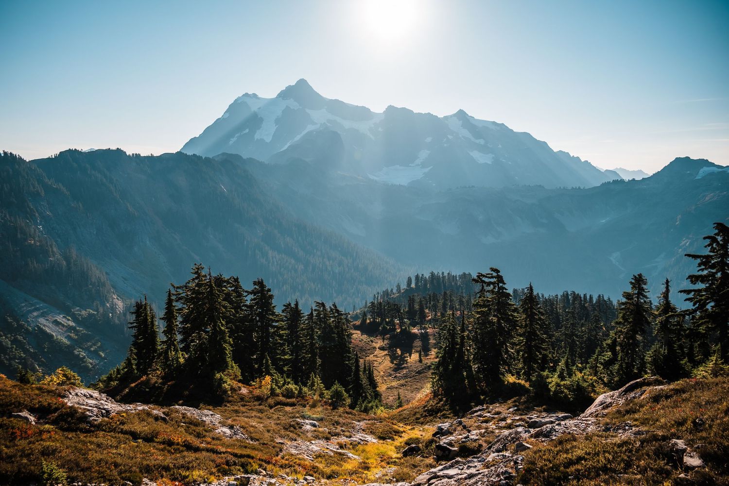 Majestic snow-capped mountain peak rises above evergreen forest and rocky terrain in warm sunlight.