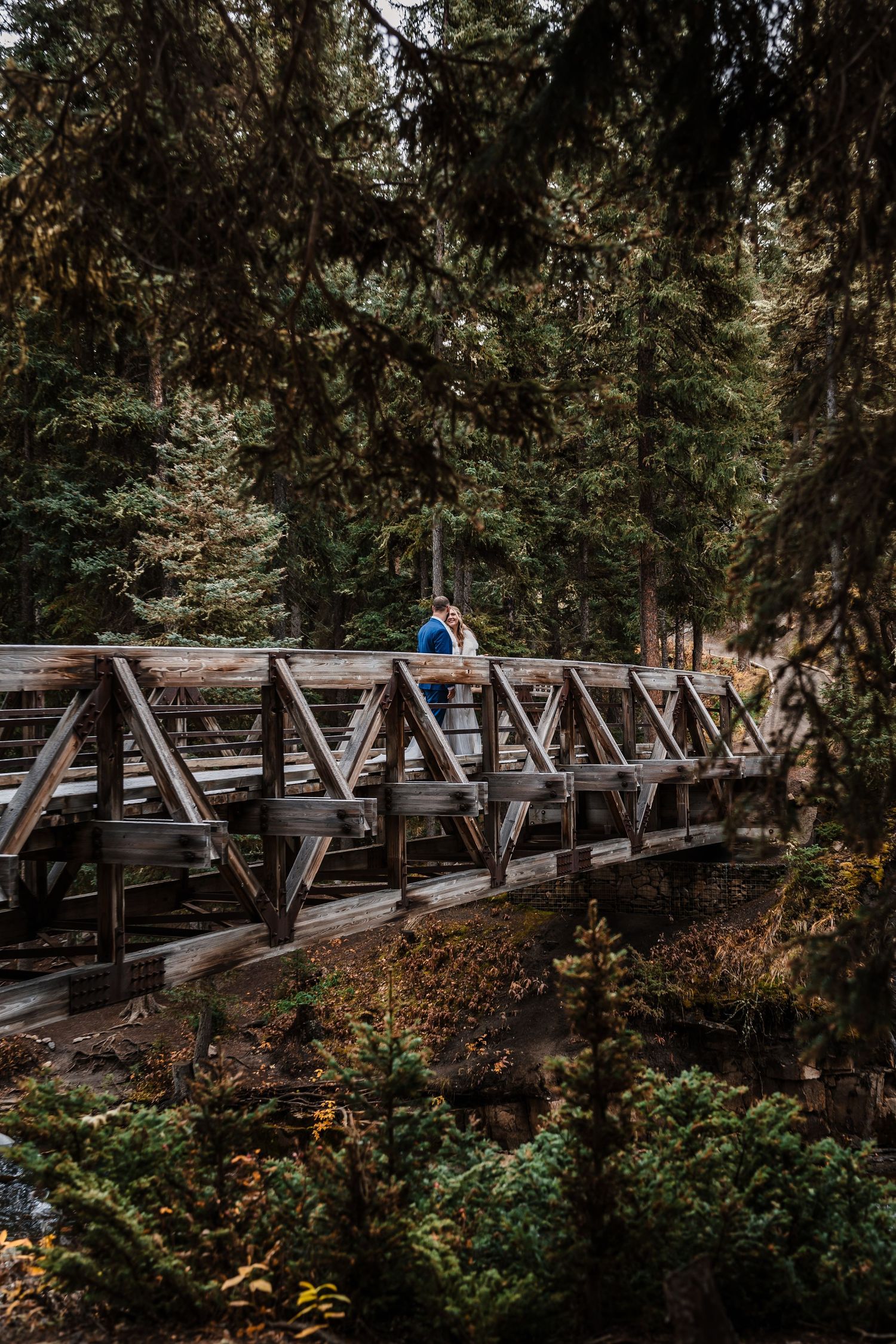 Long wooden footbridge stretching through dense forest with autumn foliage.