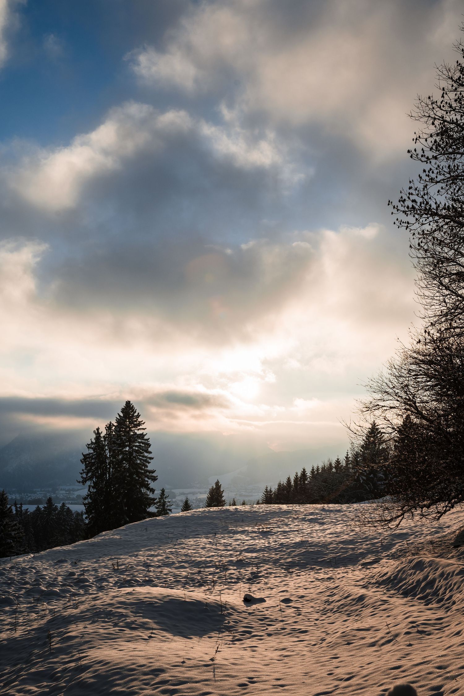 Snow-covered hillside landscape with evergreen trees under moody winter clouds at sunset.