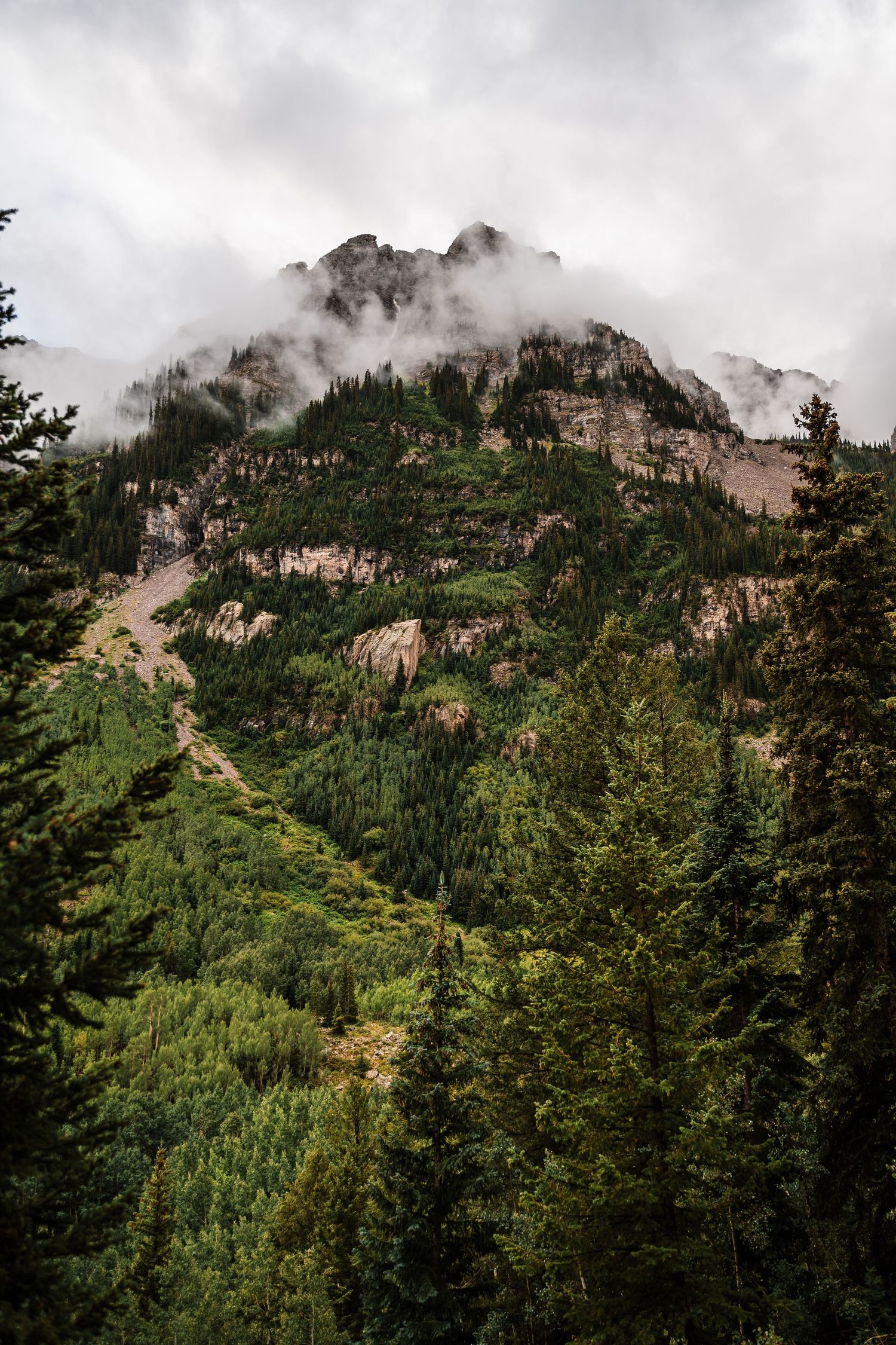 Dramatic mountain peak shrouded in misty clouds rises above dense evergreen forest.
