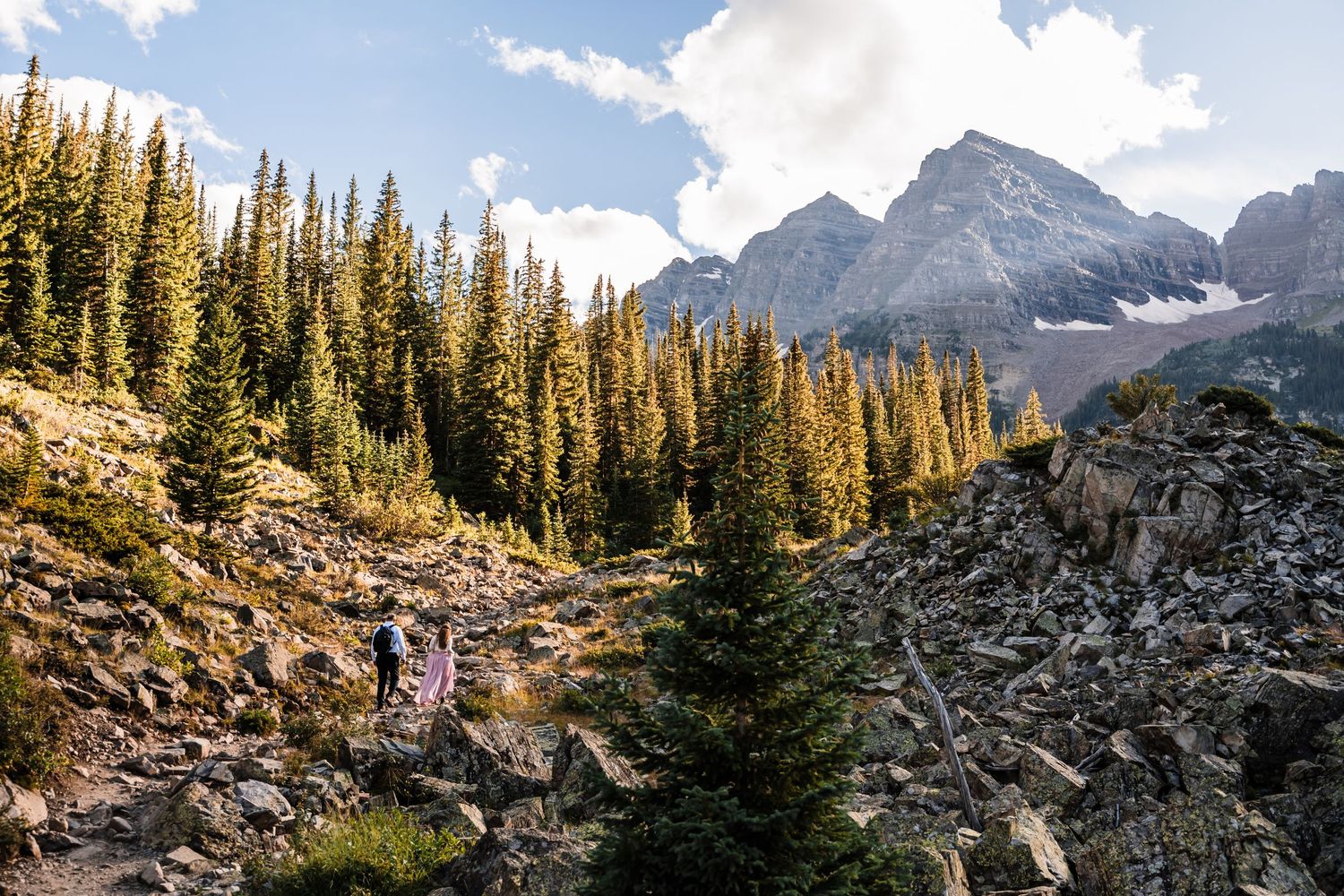 Beautiful mountain landscape with evergreen trees and rugged peaks against a bright blue sky.