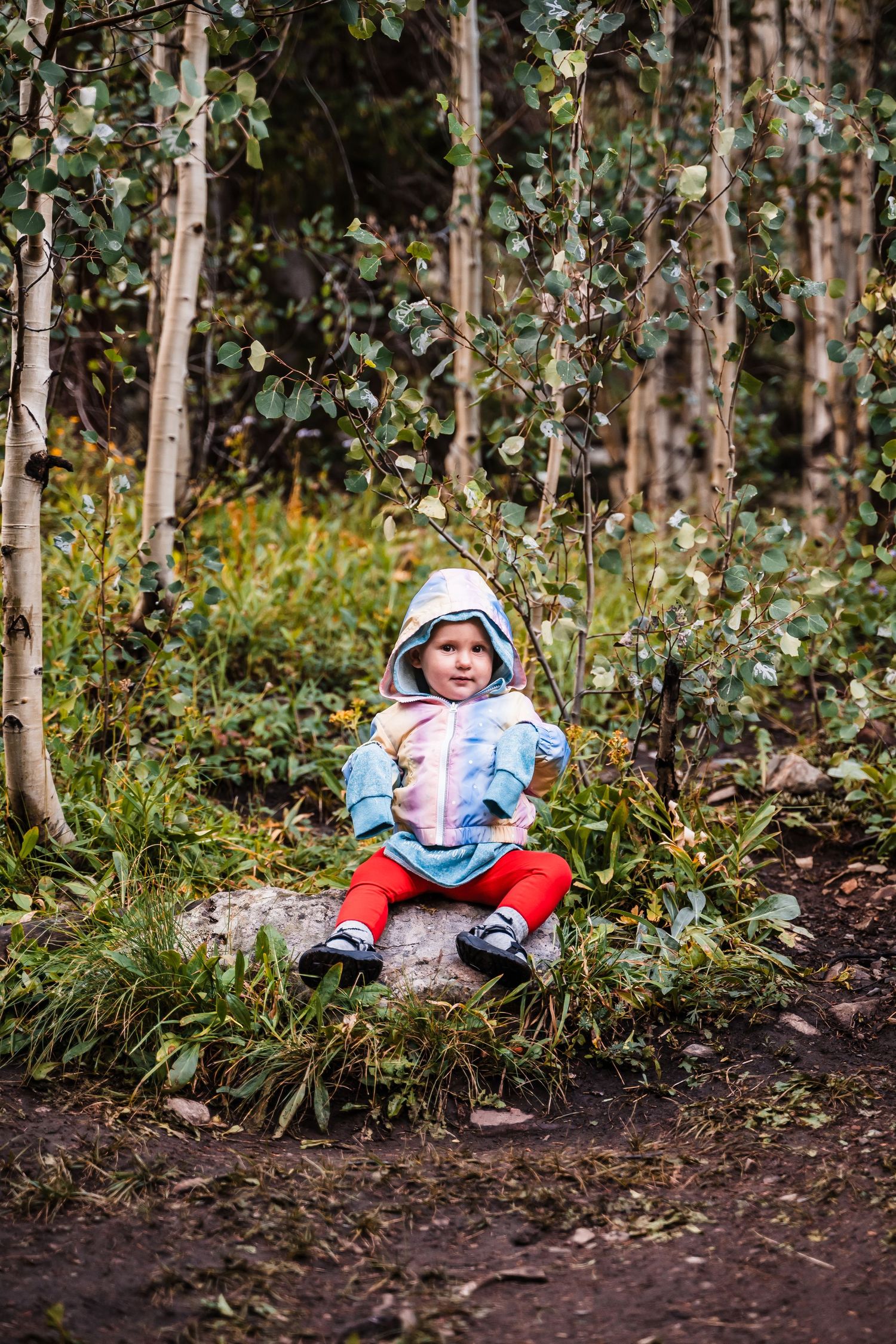 Small figure sits on rock among aspen trees in mountain forest setting.