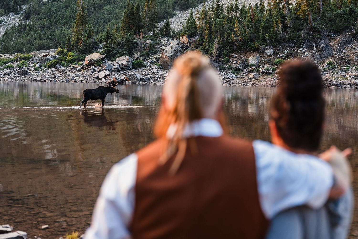 Two people watch a moose wading in a mountain lake surrounded by pine trees and rocky terrain.