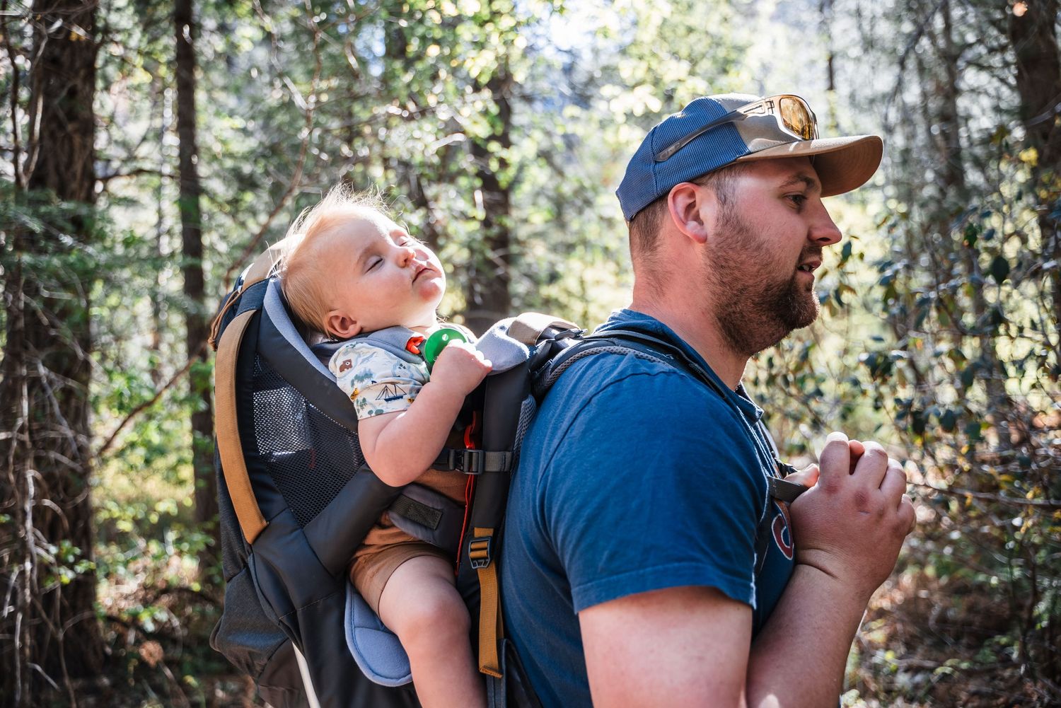 Parent carries young child in hiking backpack through shaded forest trail.