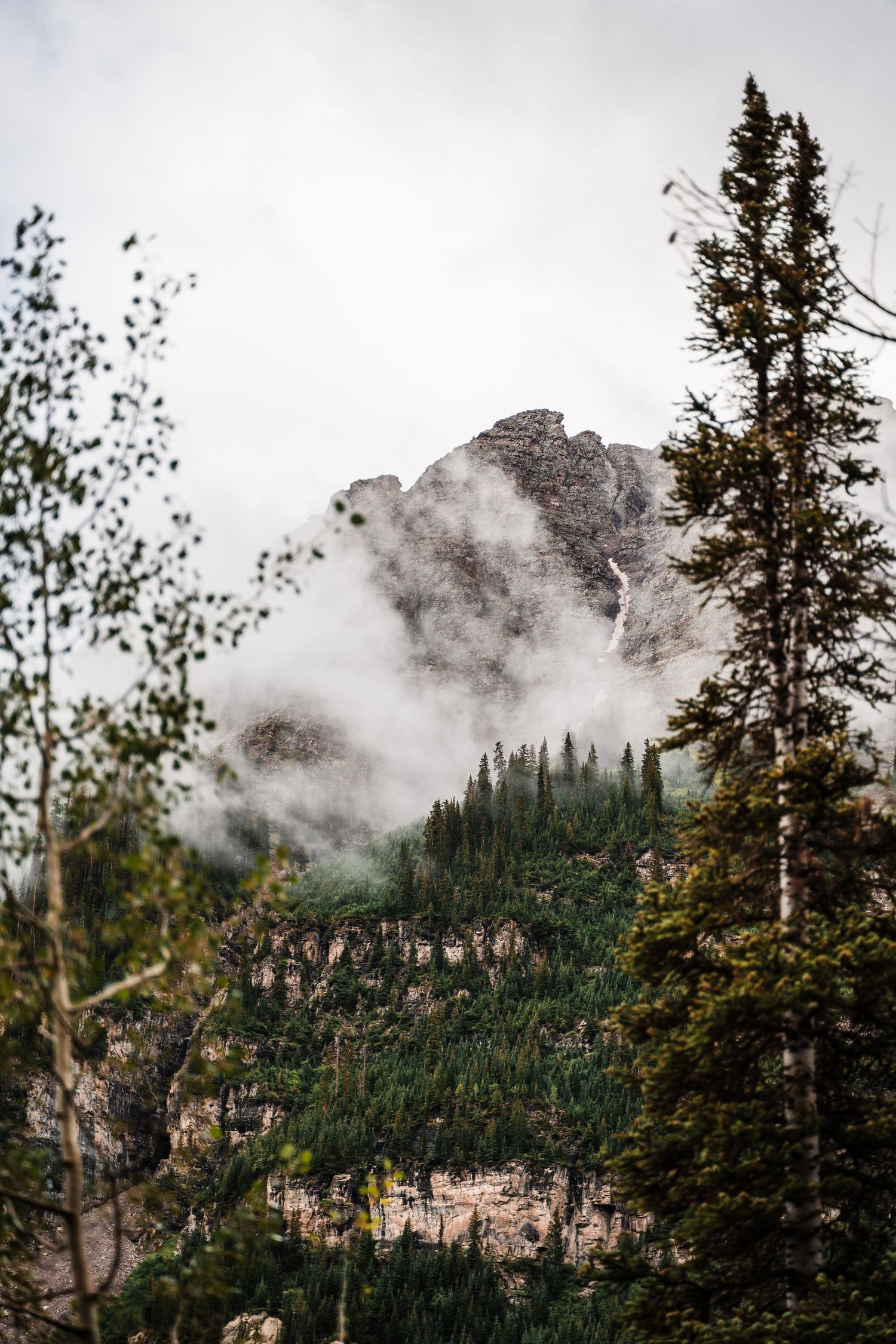 Misty mountain peak emerges through clouds surrounded by evergreen forest and rocky cliffs in moody wilderness scene.