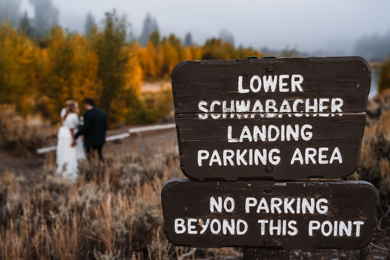 Rustic wooden parking signs along a forest path.
