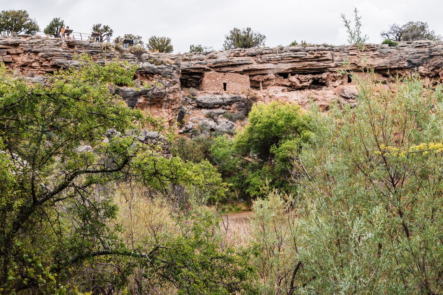 Rocky cliff face with desert vegetation and layered sandstone formations in the foreground.