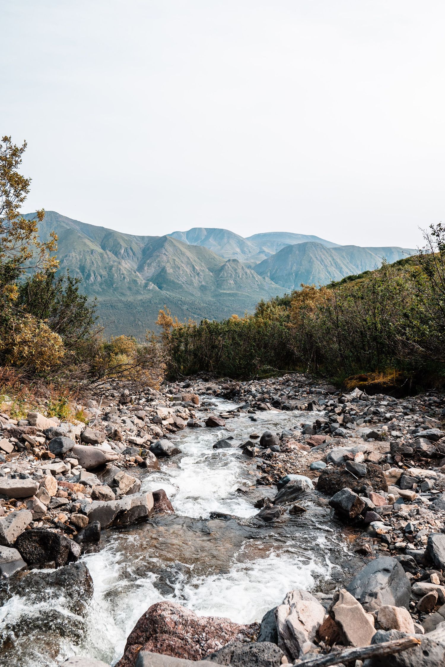 Rocky mountain stream with rushing white water cascading over boulders beneath rugged mountain peaks.