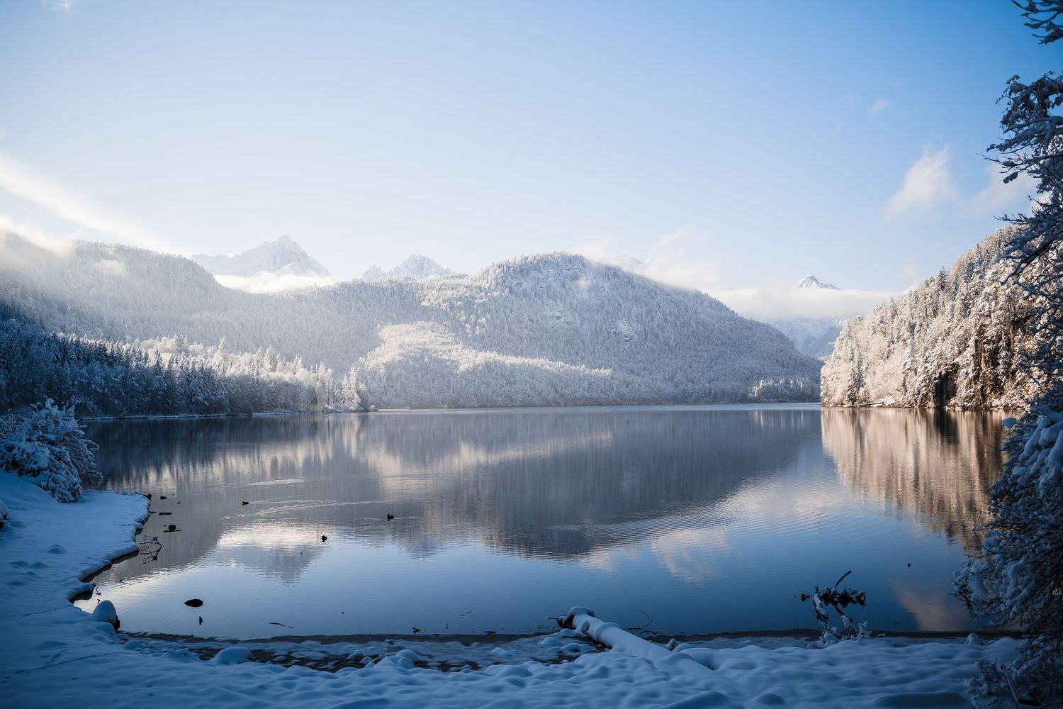 A serene panoramic view of a misty lake surrounded by snow-covered mountains reflecting in calm winter waters.