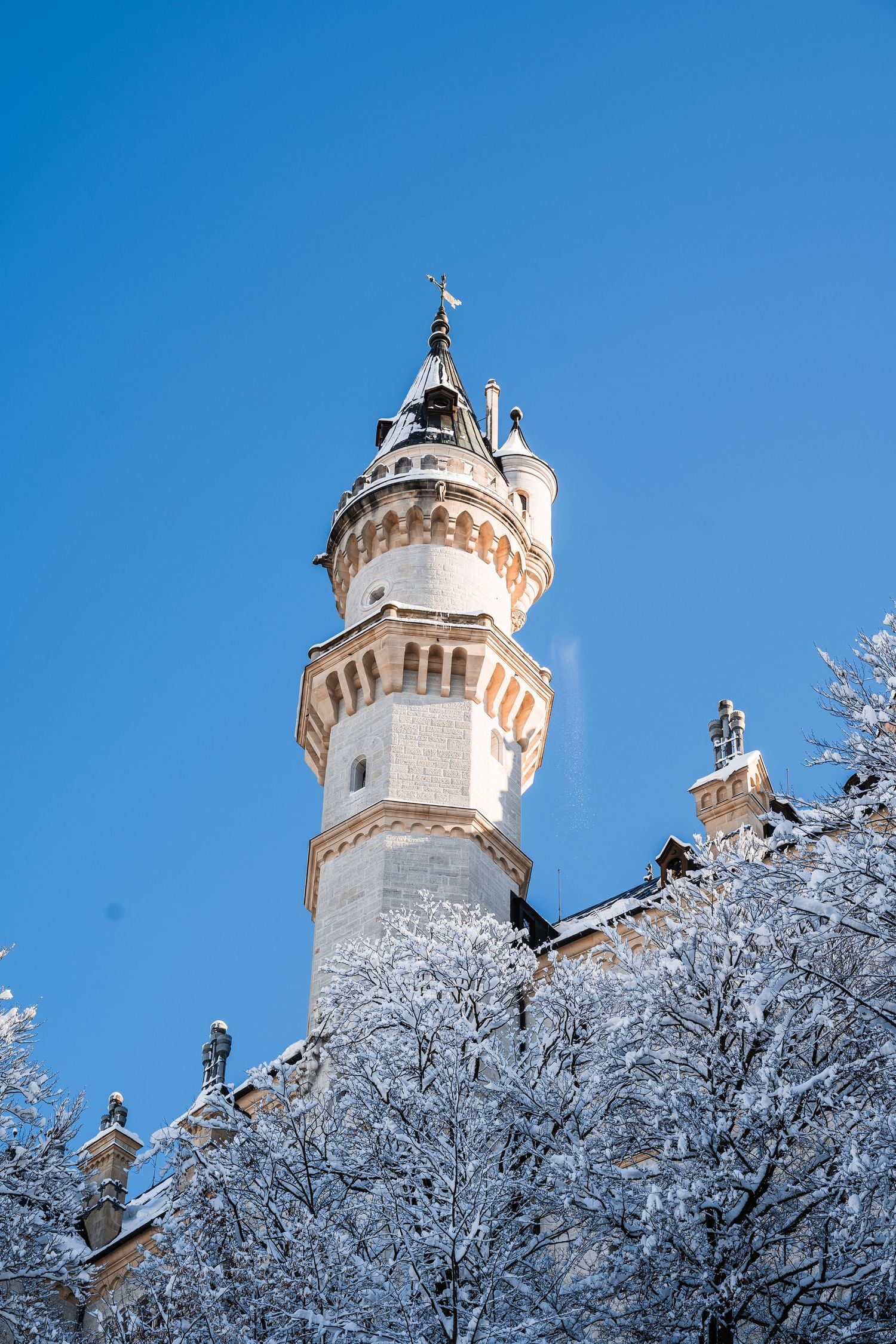 Snow-covered trees frame a white castle tower with ornate architecture against a bright blue winter sky.