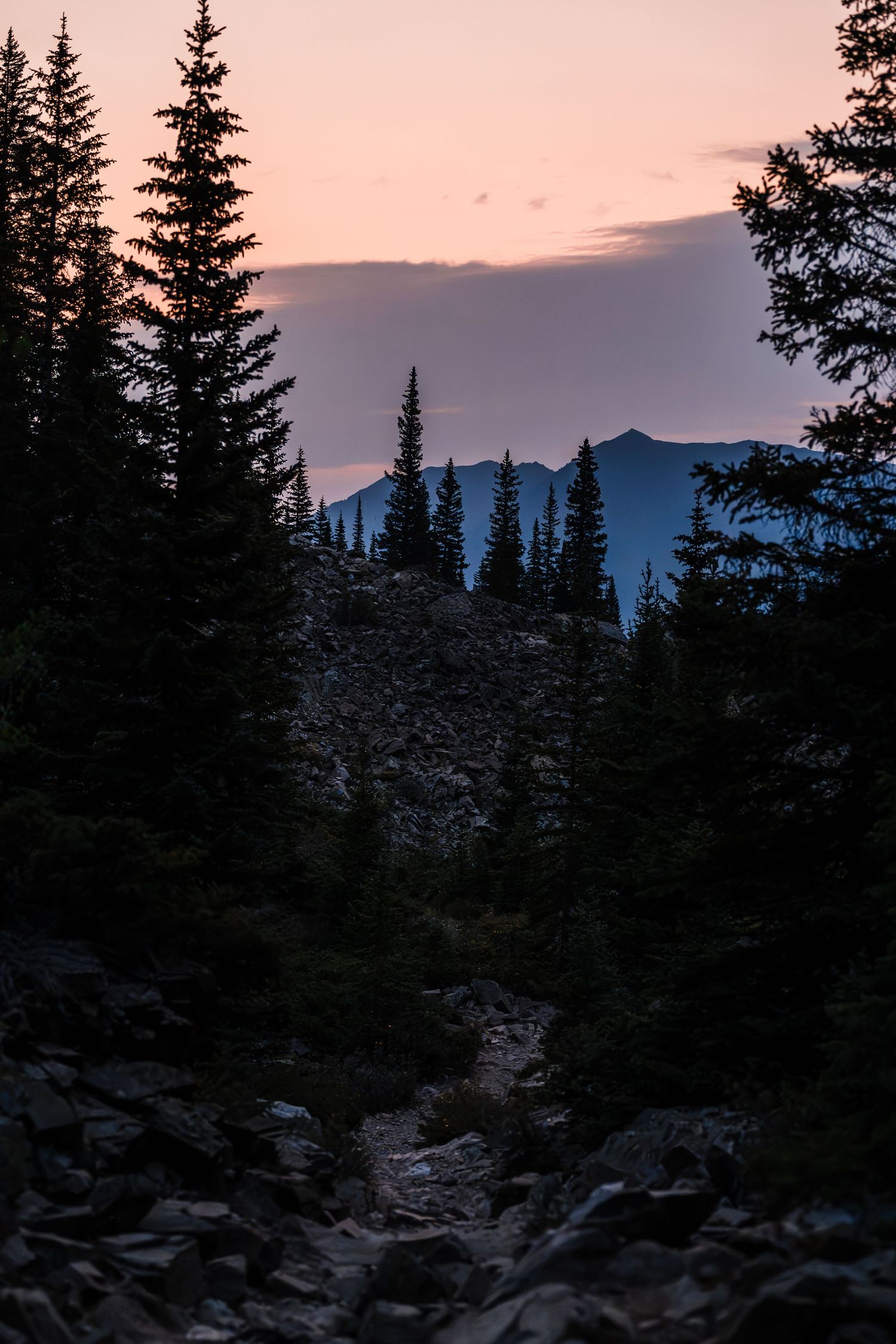 Rocky mountain trail winds through pine trees at dusk with pink sunset sky and distant peaks.