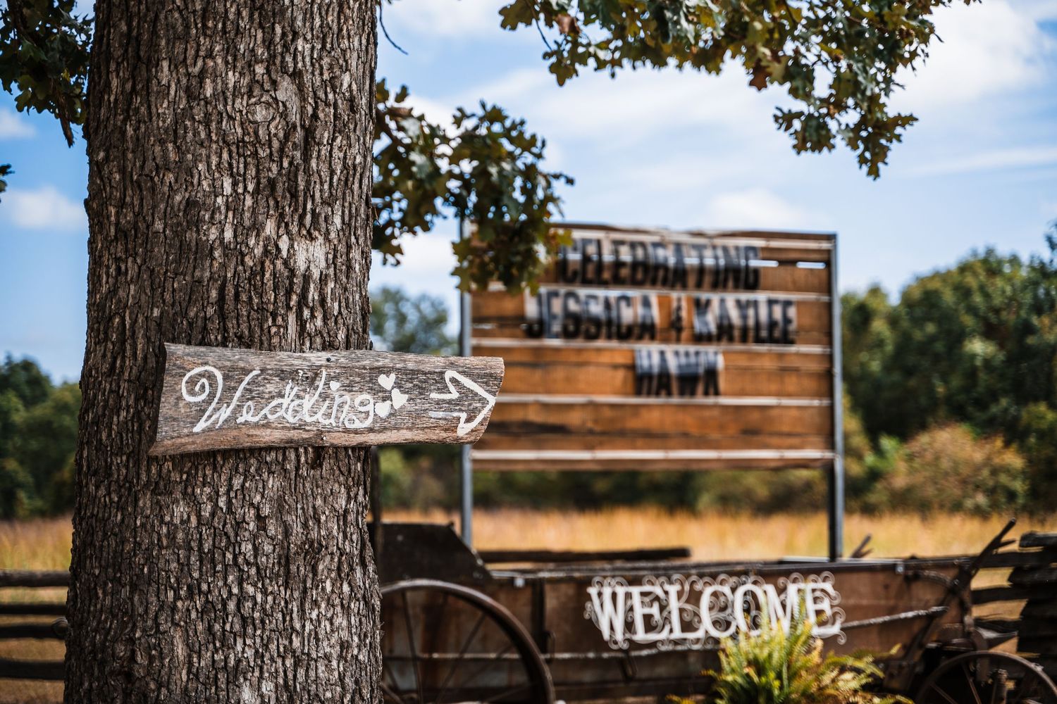 Rustic wooden welcome sign and arrow attached to a tree trunk at an outdoor venue.