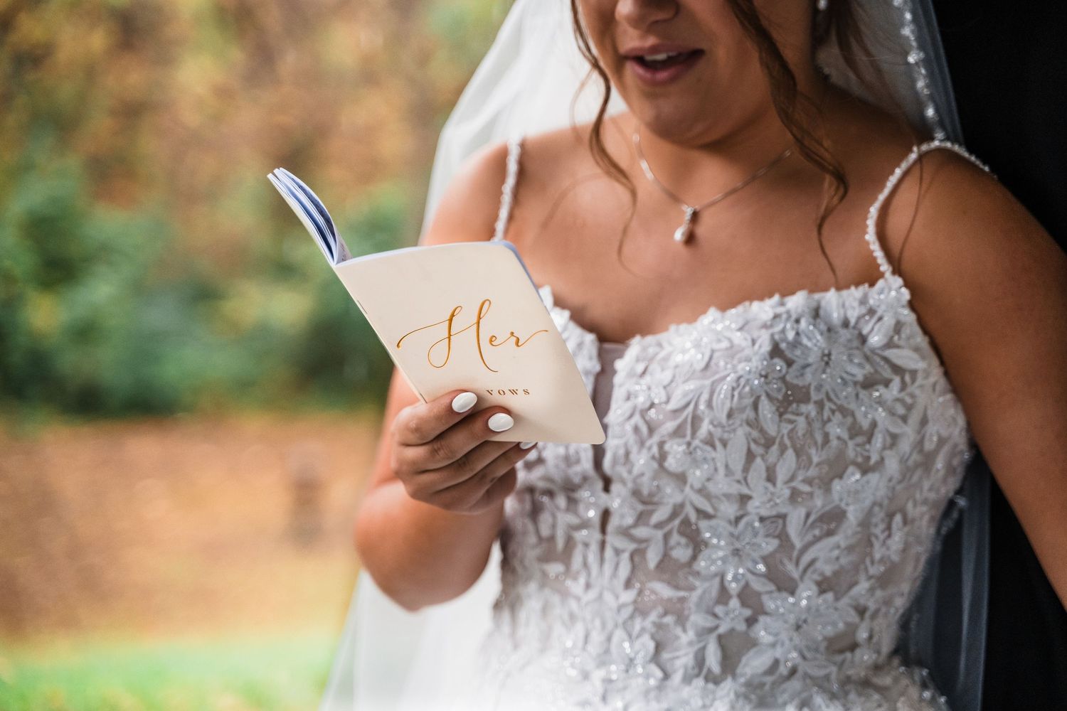 Close-up details of delicate lace wedding dress bodice.