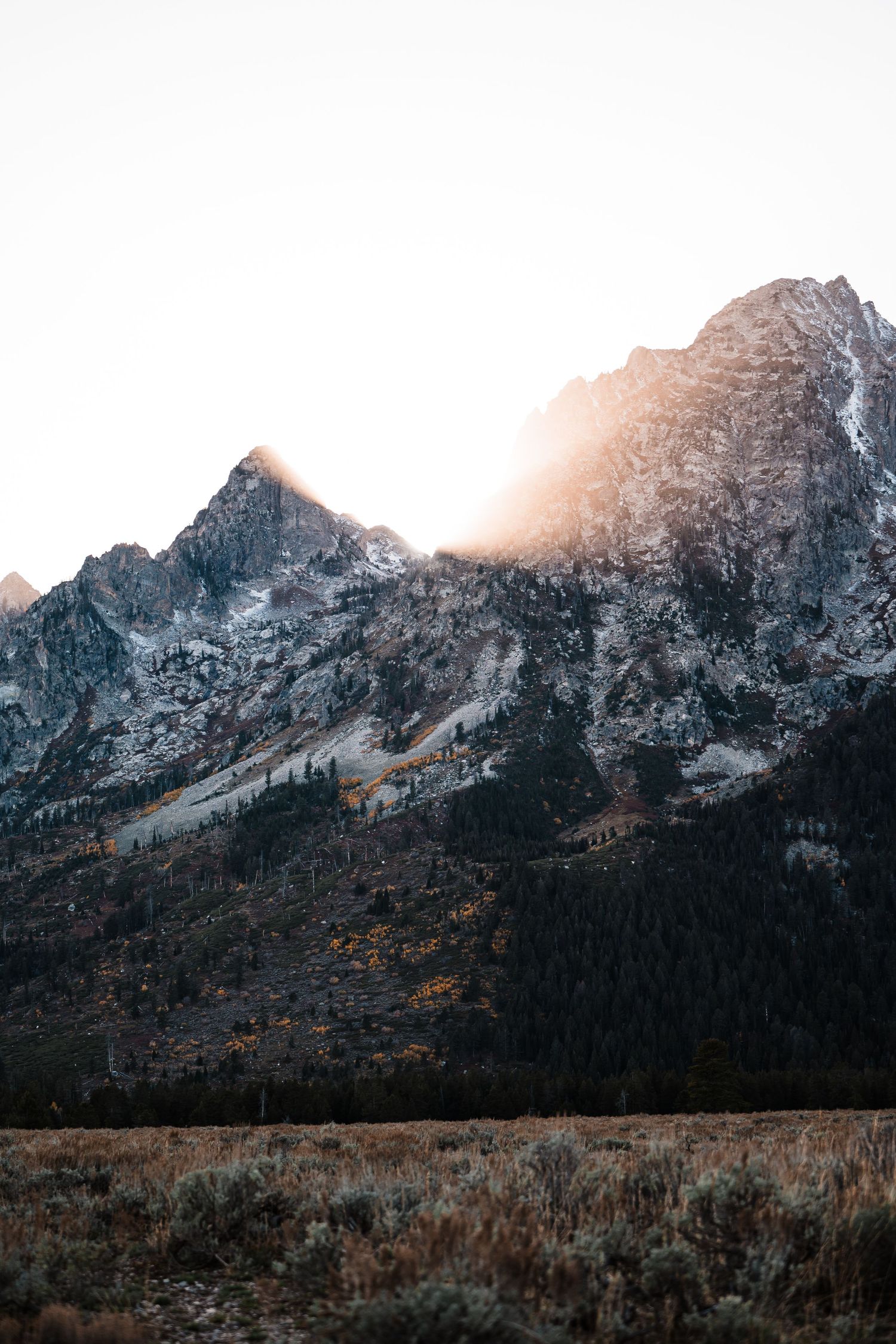 Majestic snow-capped mountain peaks rise above a golden autumn forest landscape at sunset in Grand Teton National Park.