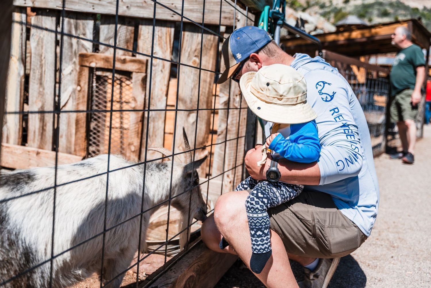 A person in a blue shirt and hat interacts with a white goat through a fence at a petting zoo area.