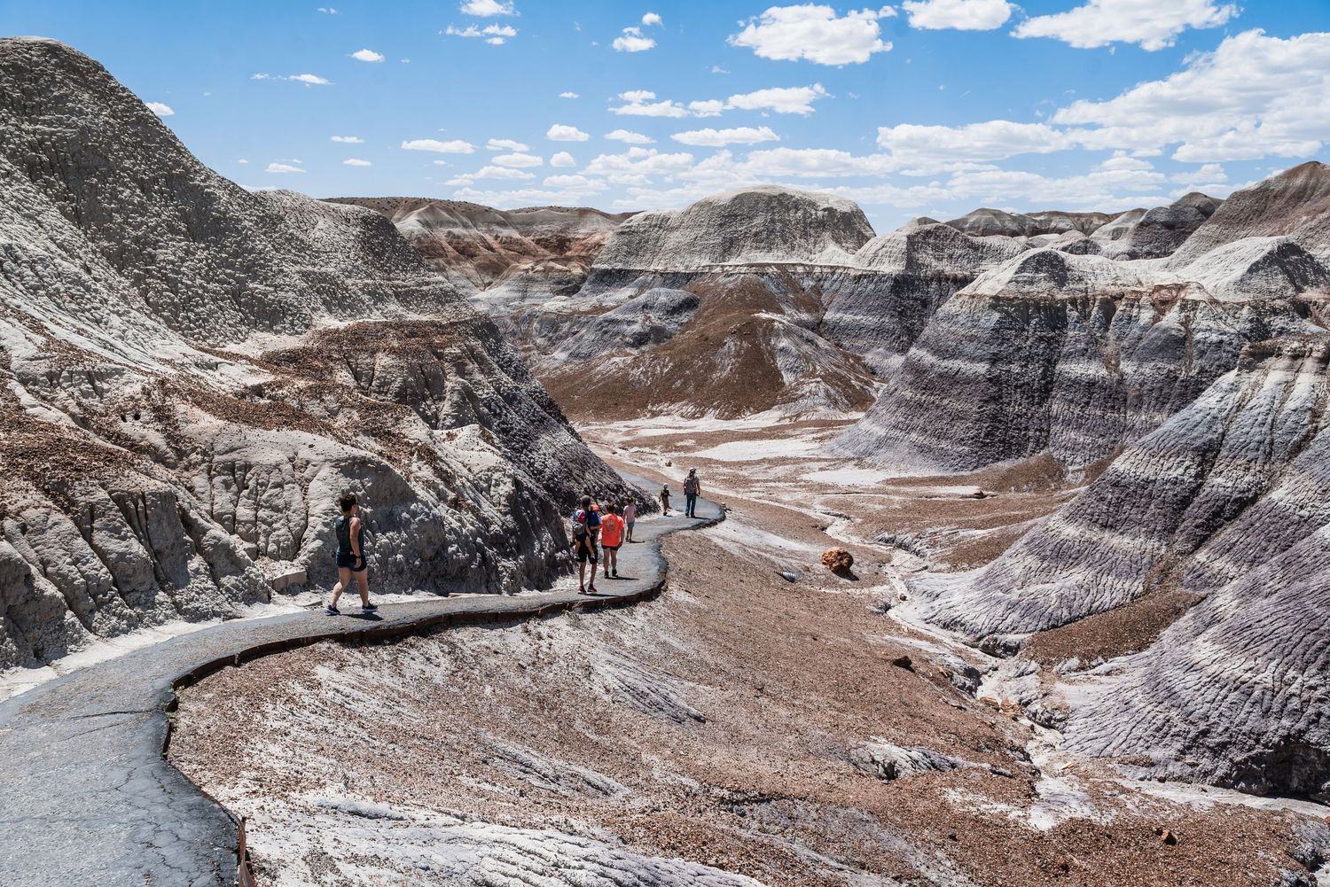 Scenic view of the Blue Mesa Trail winding through layered badlands formations in Petrified Forest National Park.