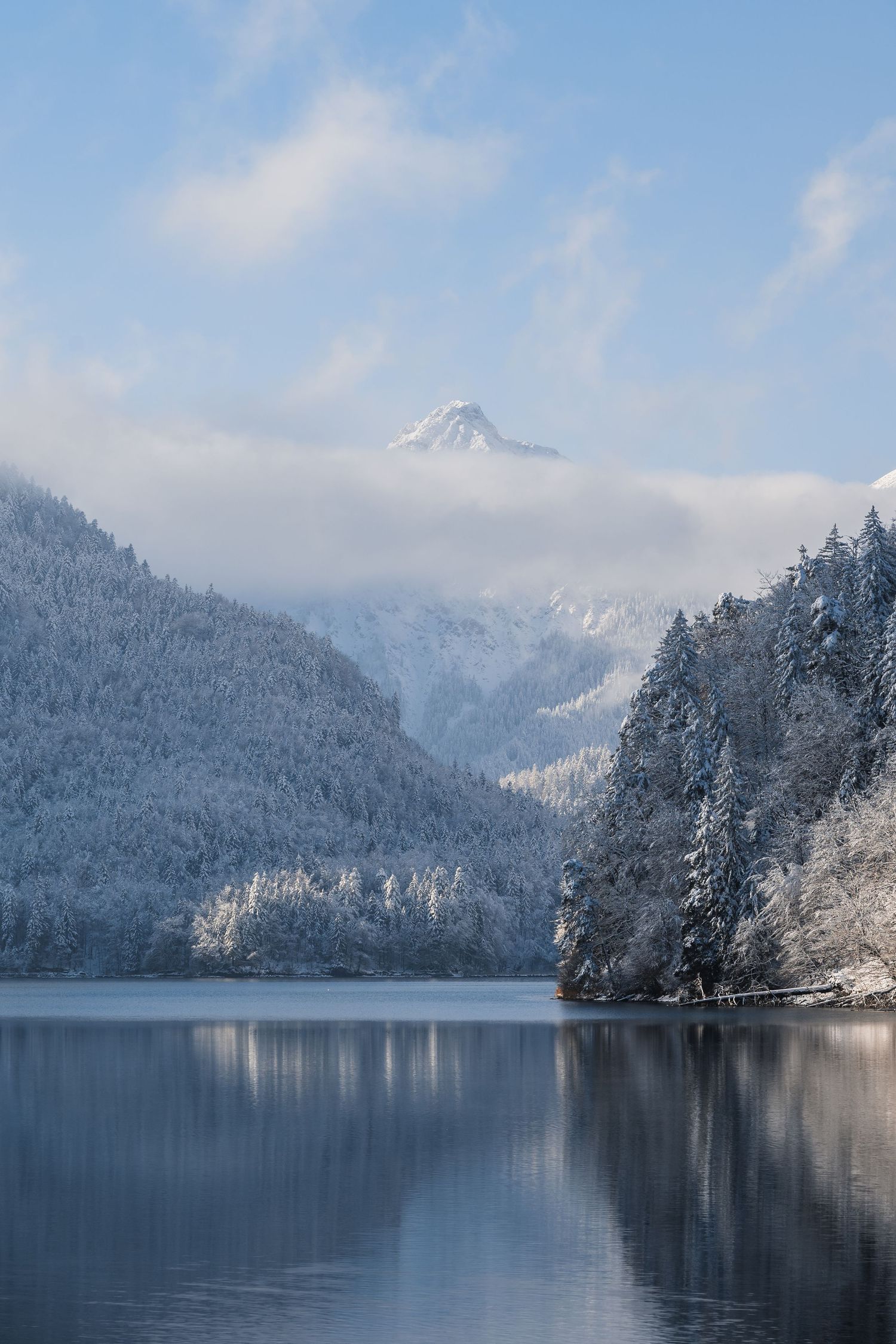 Panoramic winter landscape of a serene mountain lake surrounded by snow-covered evergreen trees and misty peaks.