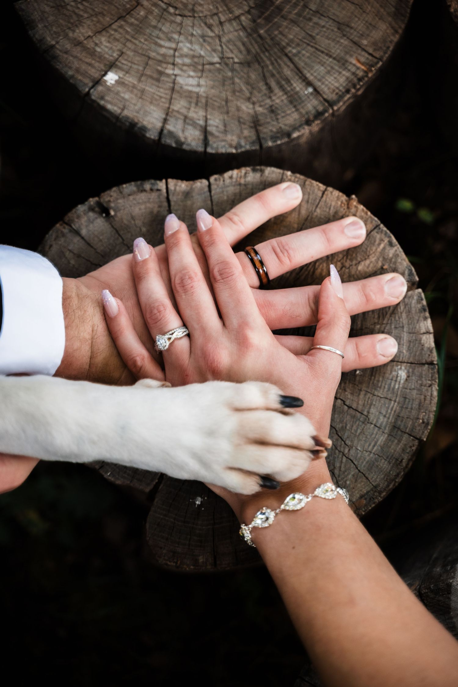 Close-up of newlywed couple's hands with wedding rings and jewelry resting on a rustic wood surface.