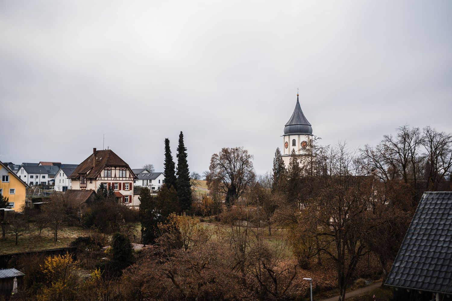 A scenic panoramic view of a historic church spire rising above bare autumn trees against an overcast sky.