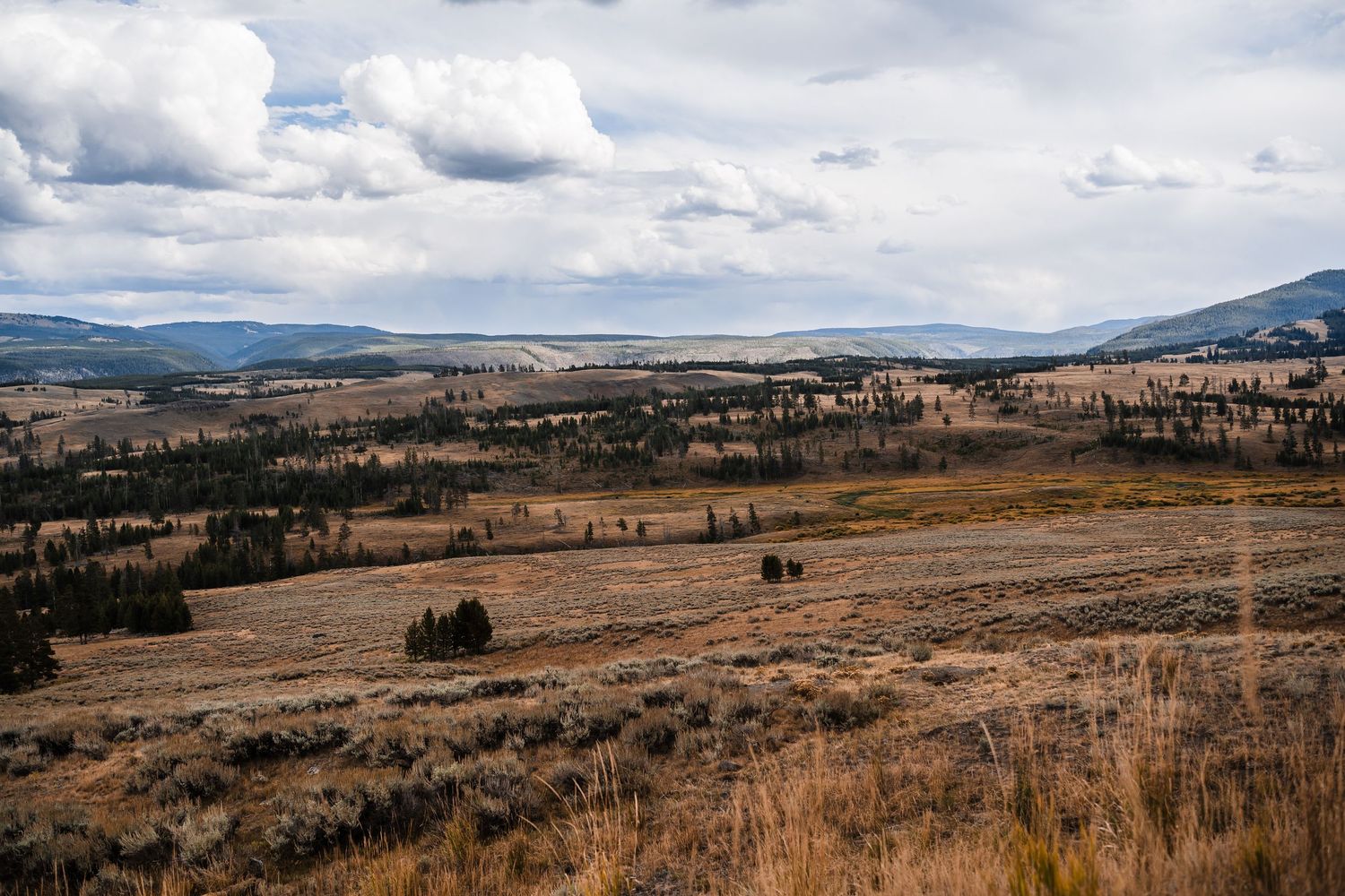Rolling hills and grasslands stretch across a vast mountain landscape under cloudy skies.