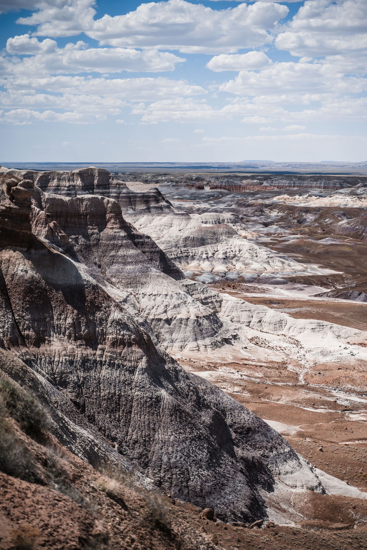 Scenic view of eroded rock formations and layered cliffs at Blue Mesa in Petrified Forest National Park under cloudy skies.