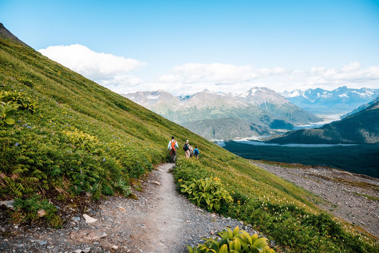 Hikers follow a narrow mountain trail surrounded by alpine wildflowers with snow-capped peaks and valley views in distance.