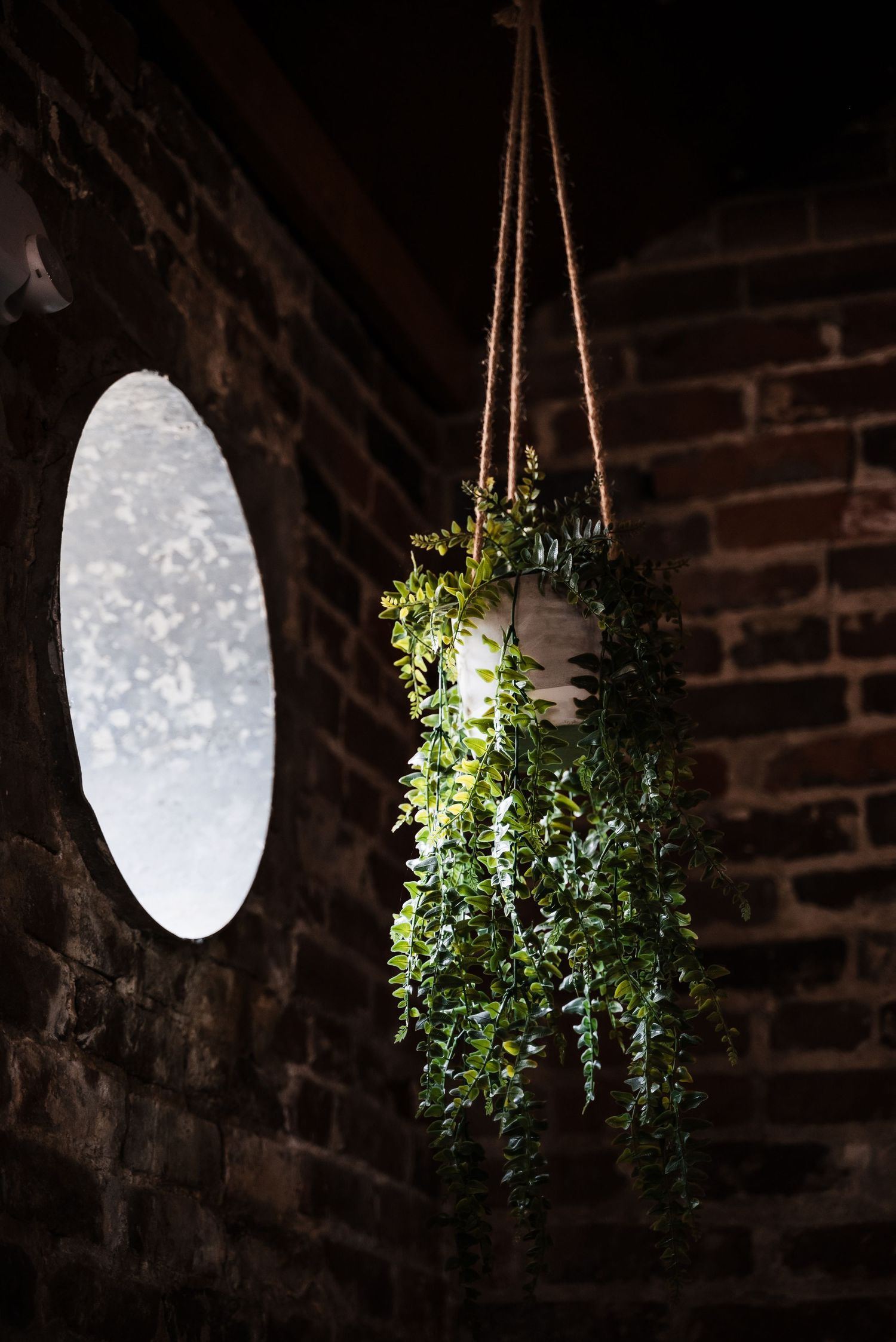 A hanging green plant against exposed brick wall with a glowing circular window in the background.