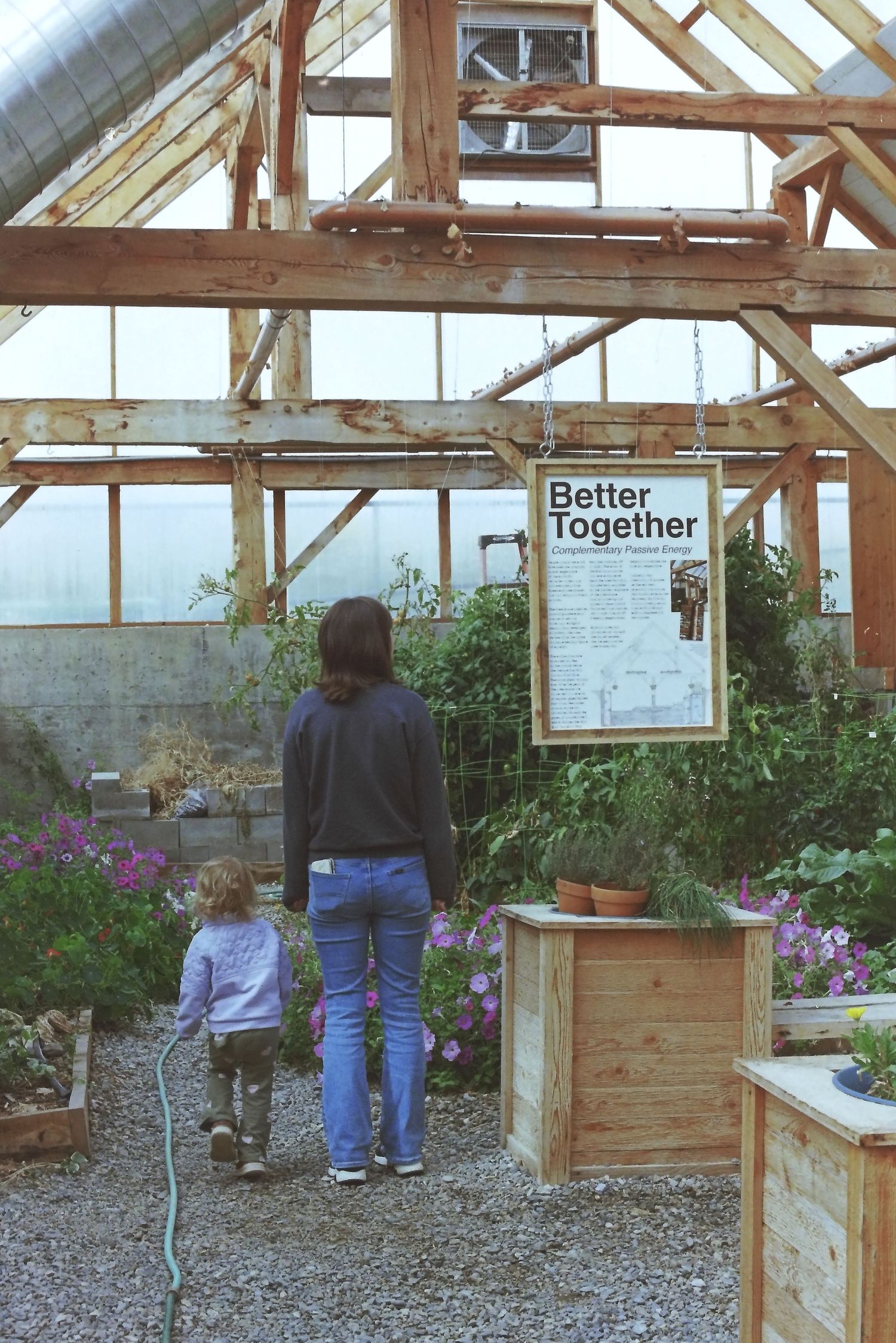 Person walking through a greenhouse with wooden frames and gravel floor while inspecting plants and flowers.