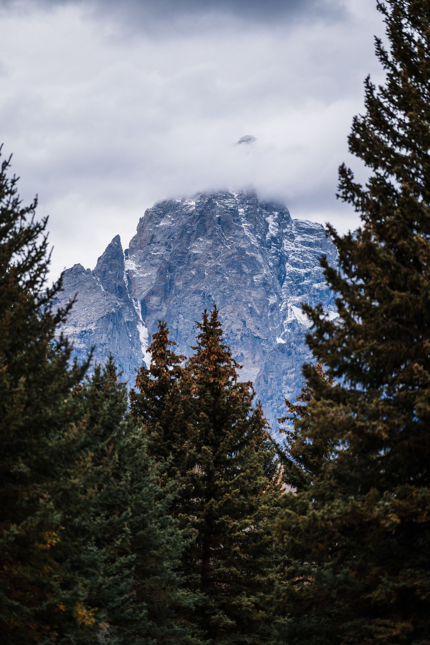Snow-covered mountain peaks rise dramatically above evergreen forest under cloudy winter skies.