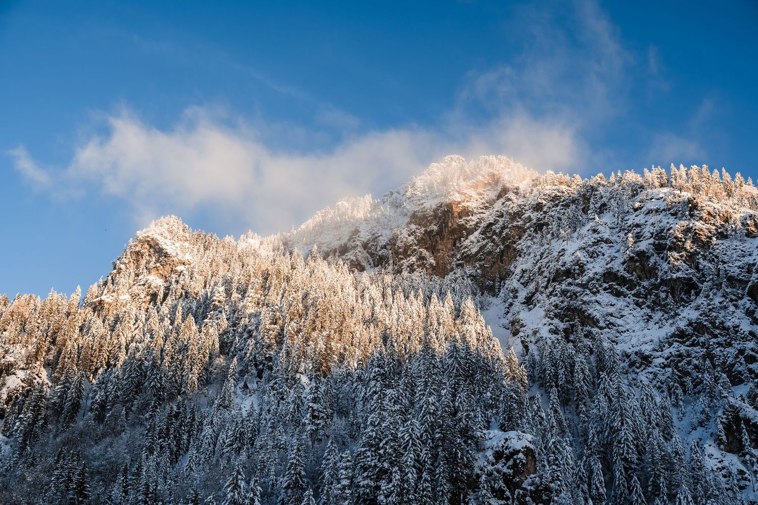 Snow-covered mountain peaks and evergreen forest under bright blue winter sky in alpine landscape.