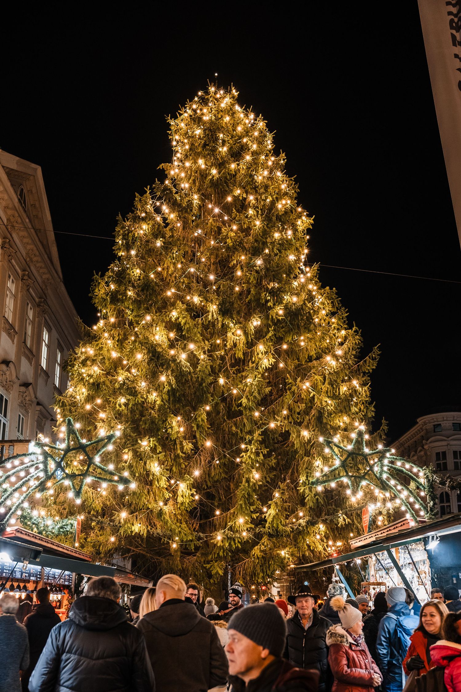 A festive crowd gathers beneath large illuminated Christmas trees at a nighttime holiday market celebration.