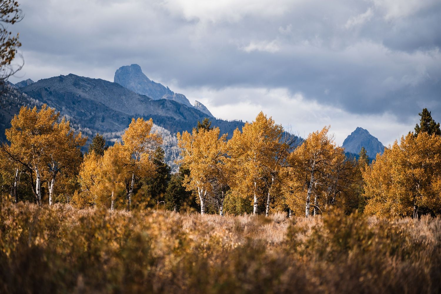 Golden autumn trees frame snow-dusted mountain peaks under dramatic cloudy skies.