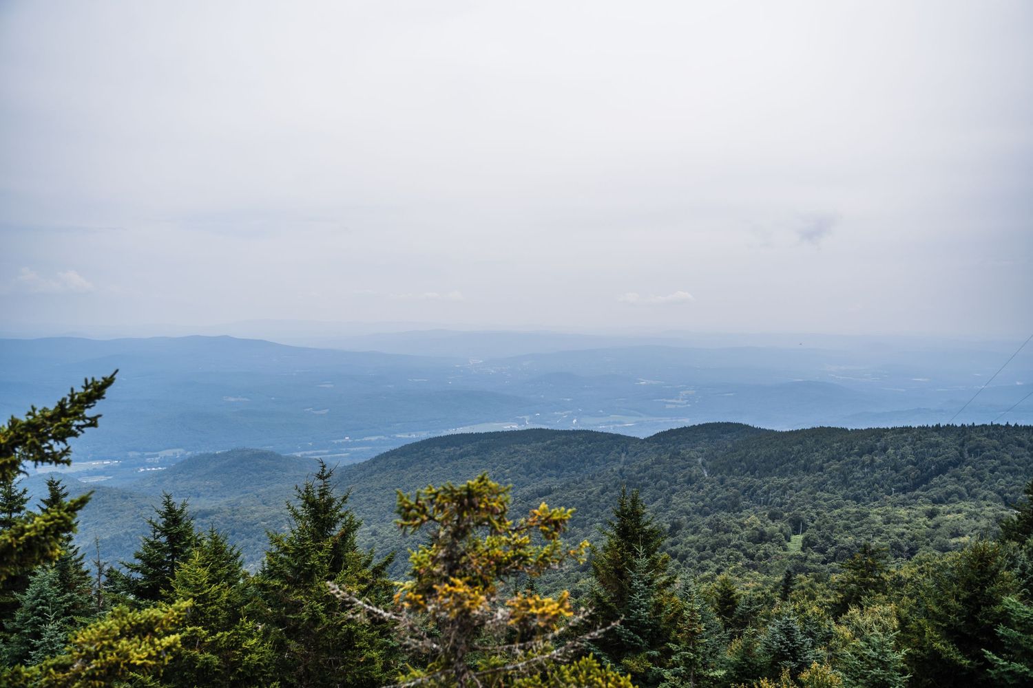 Misty mountain vista with rolling blue ridges and evergreen trees in the foreground against a cloudy sky.
