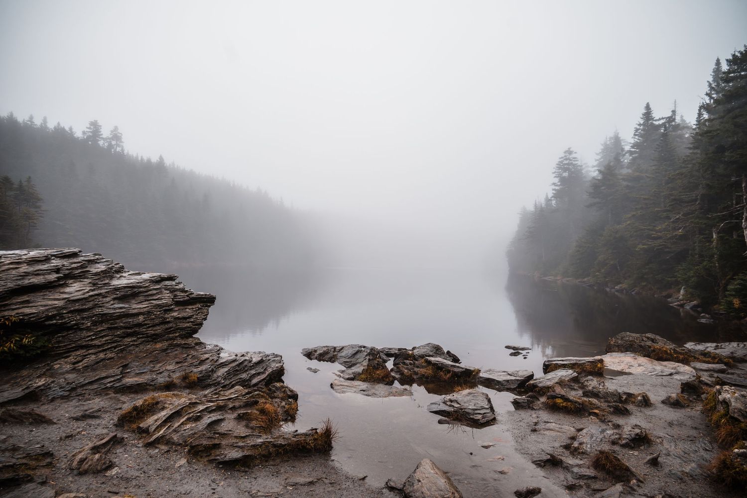 Misty foggy morning over rocky shoreline with evergreen trees along calm water's edge in moody landscape.