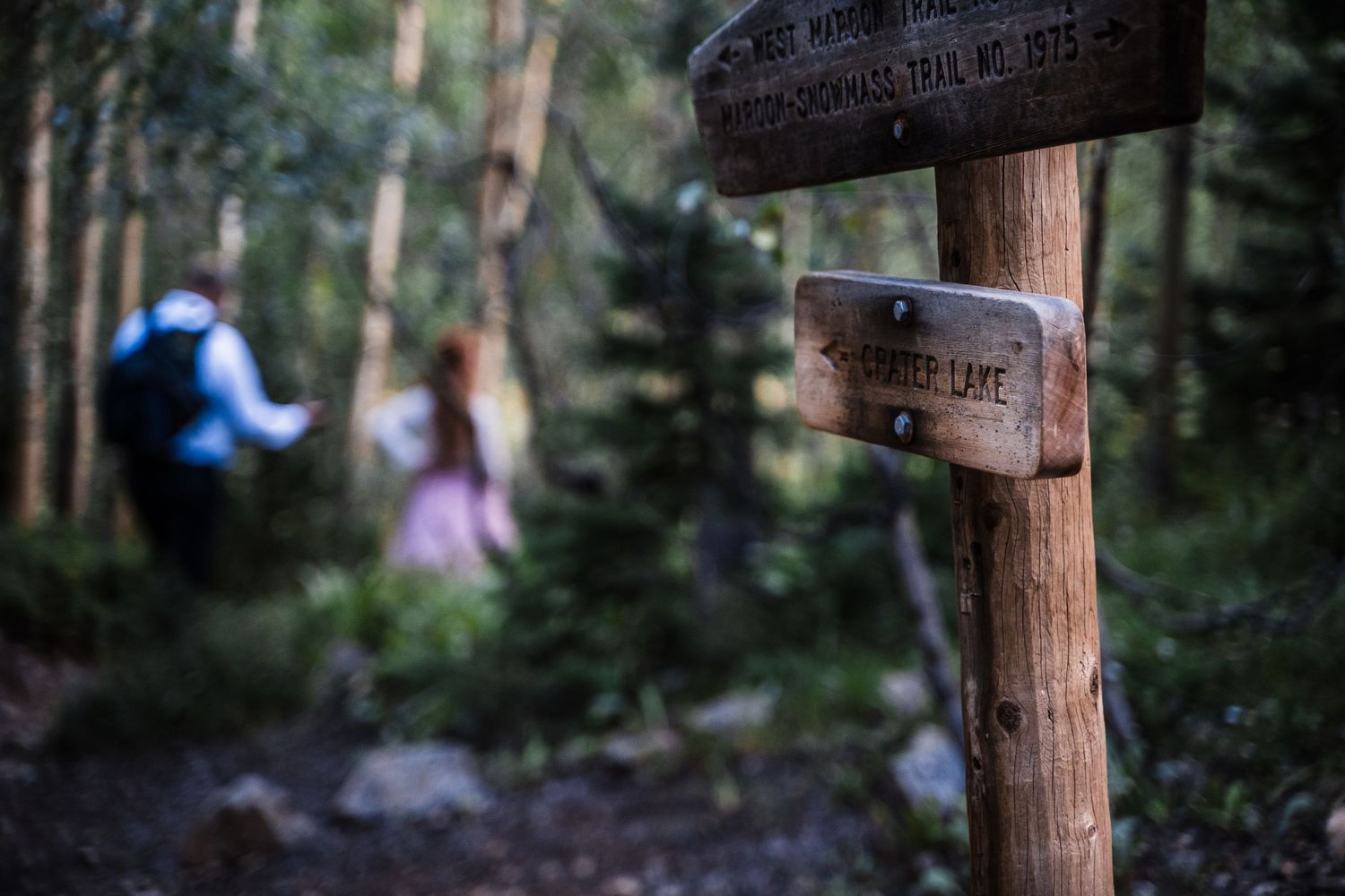A wooden trail marker sign in the foreground with blurred hikers visible in the forest background.