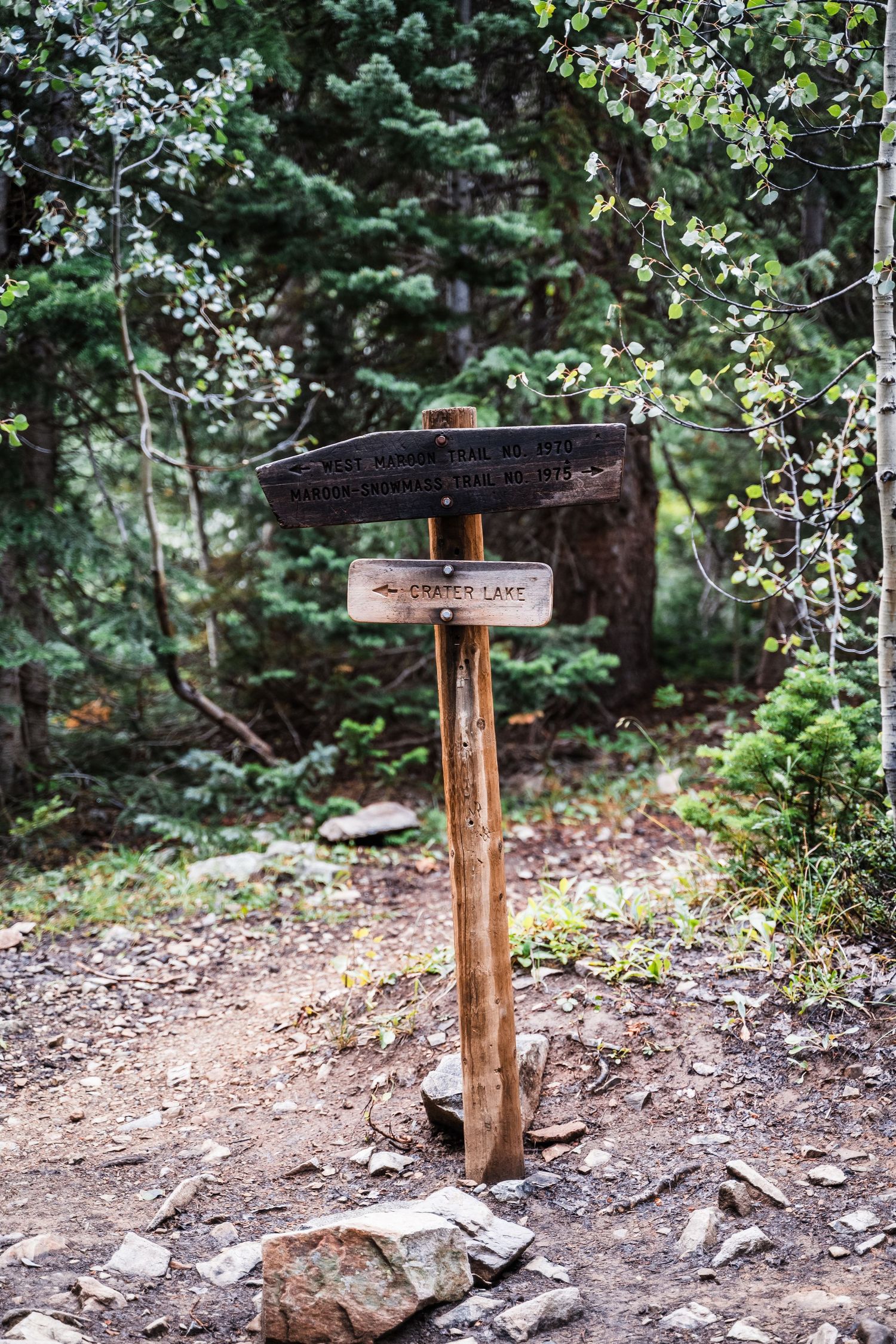 Wooden trail marker post with directional signs stands on dirt path in forest.