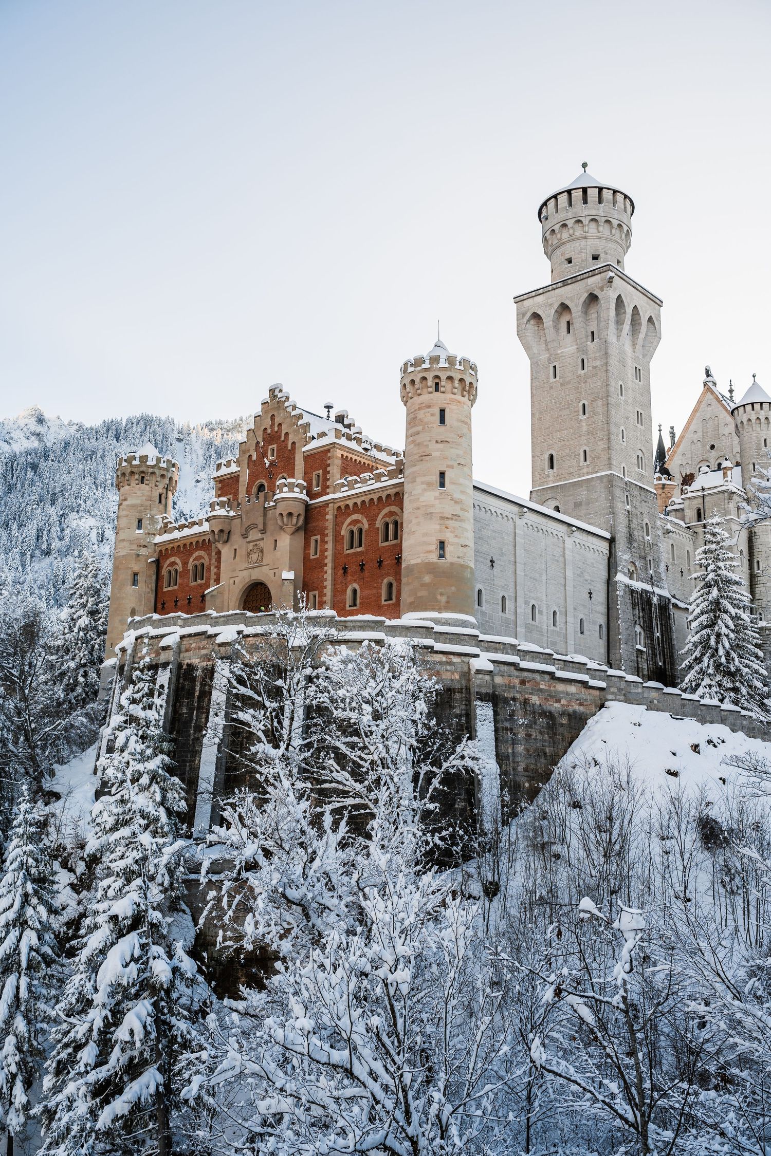 Snow-covered Neuschwanstein Castle perched on hillside with snow-laden trees in Bavarian winter landscape.