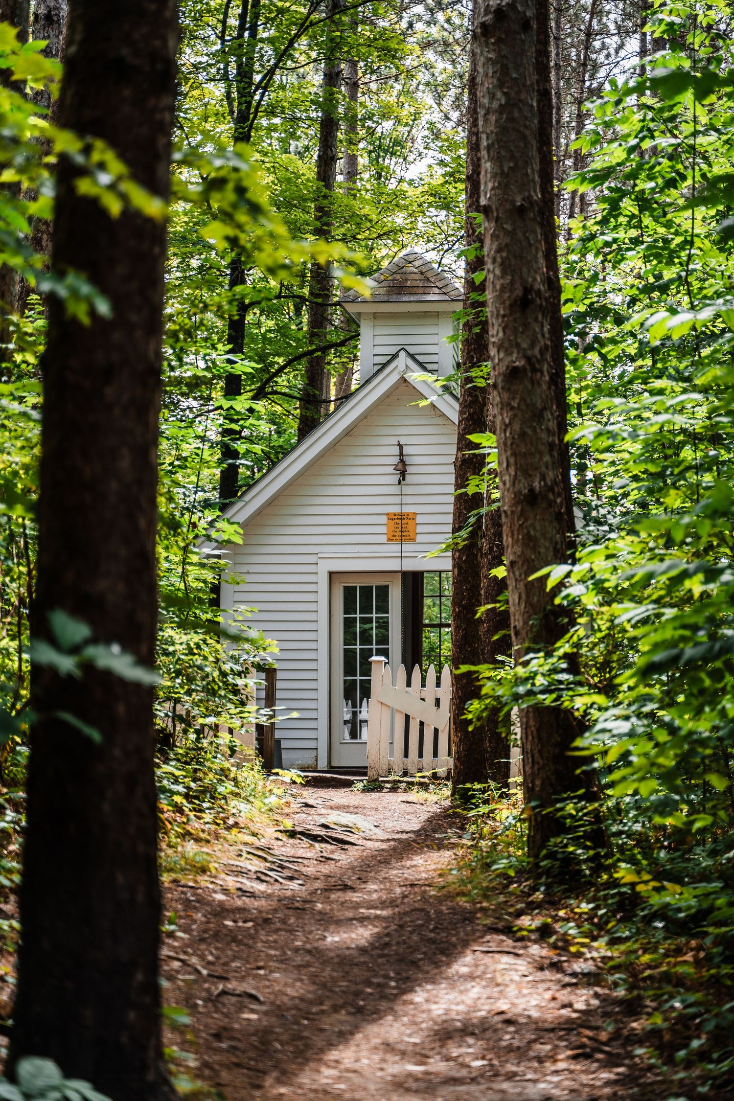 A quaint white chapel with glass door stands at the end of a forest trail surrounded by towering trees and greenery.