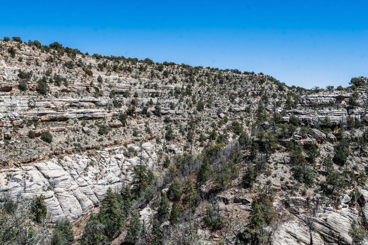 Layered limestone cliffs and rocky terrain form dramatic canyon walls under bright blue sky at Walnut Canyon.