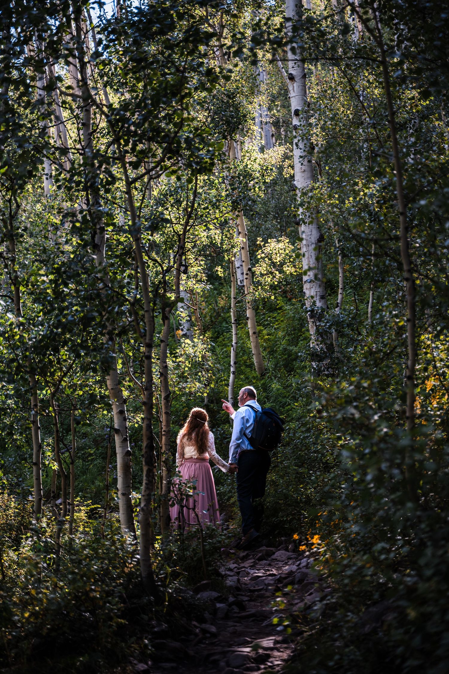 Hikers walking through a sunlit aspen grove on a mountain trail in late afternoon light.