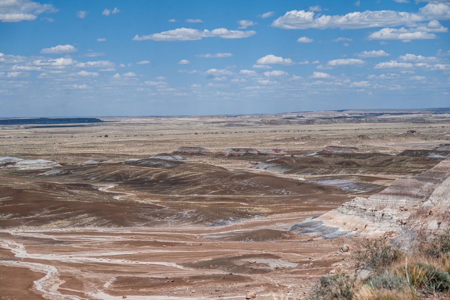 Wide desert landscape vista with exposed geological layers stretching to horizon.