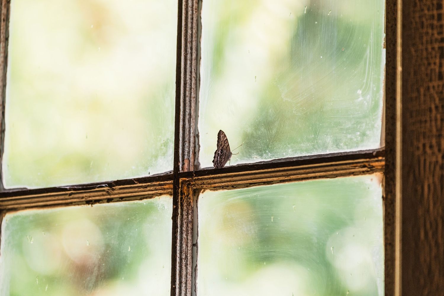 Vintage wooden window frame with natural light streaming through panes.