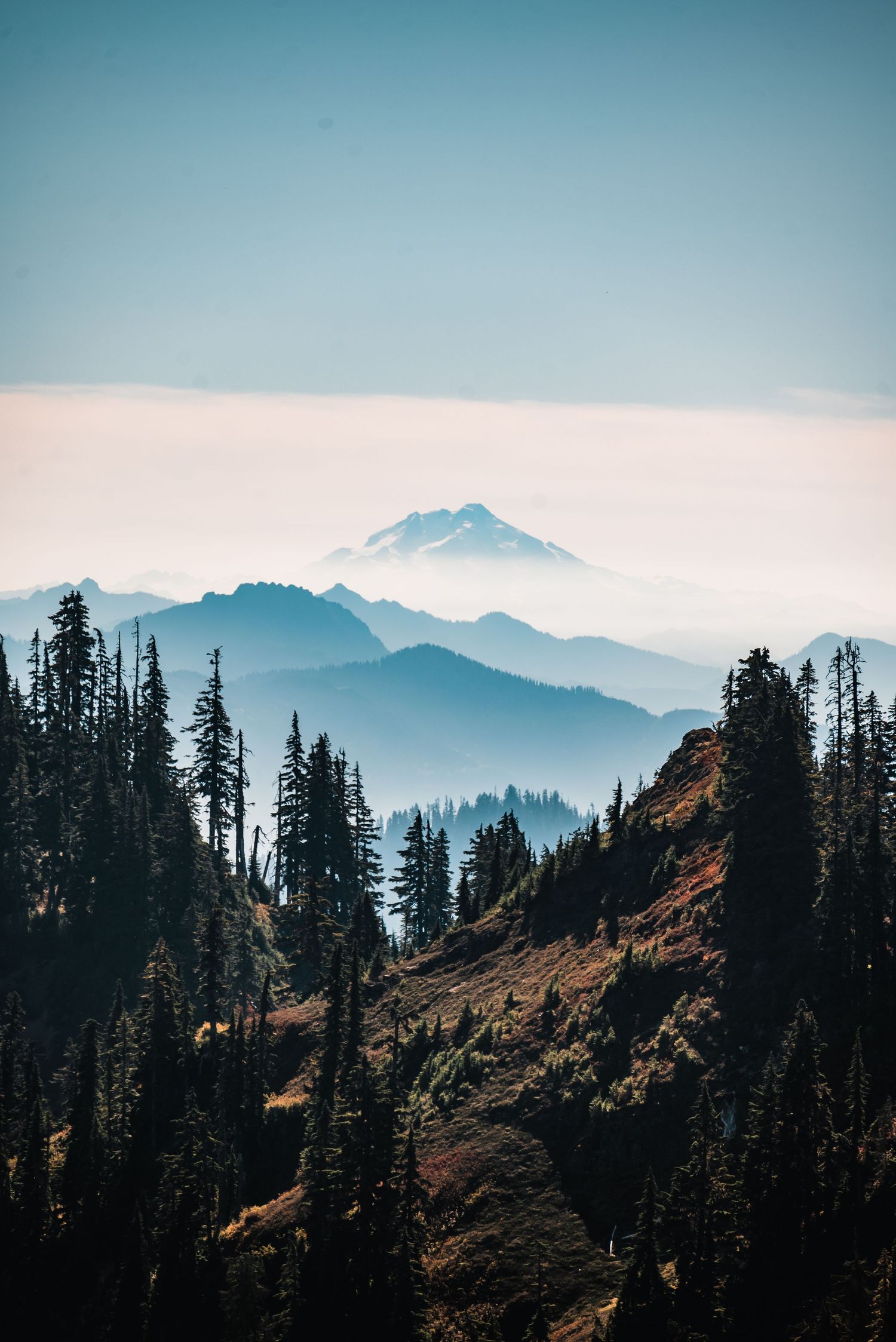 Scenic mountain landscape with silhouetted evergreen trees and layered misty peaks beneath a blue sky.