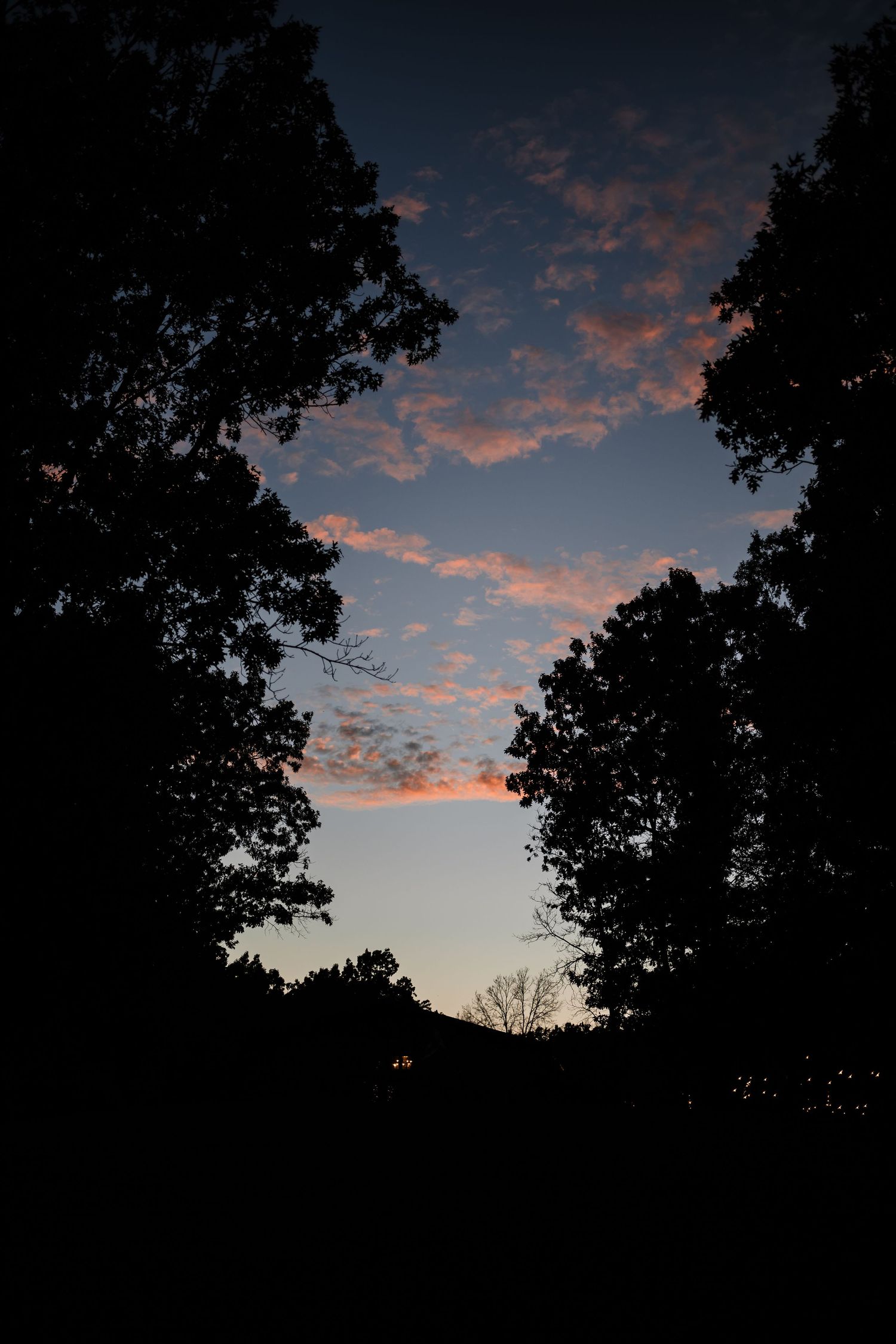 Silhouette of trees against a dramatic sunset sky with pink and orange clouds.
